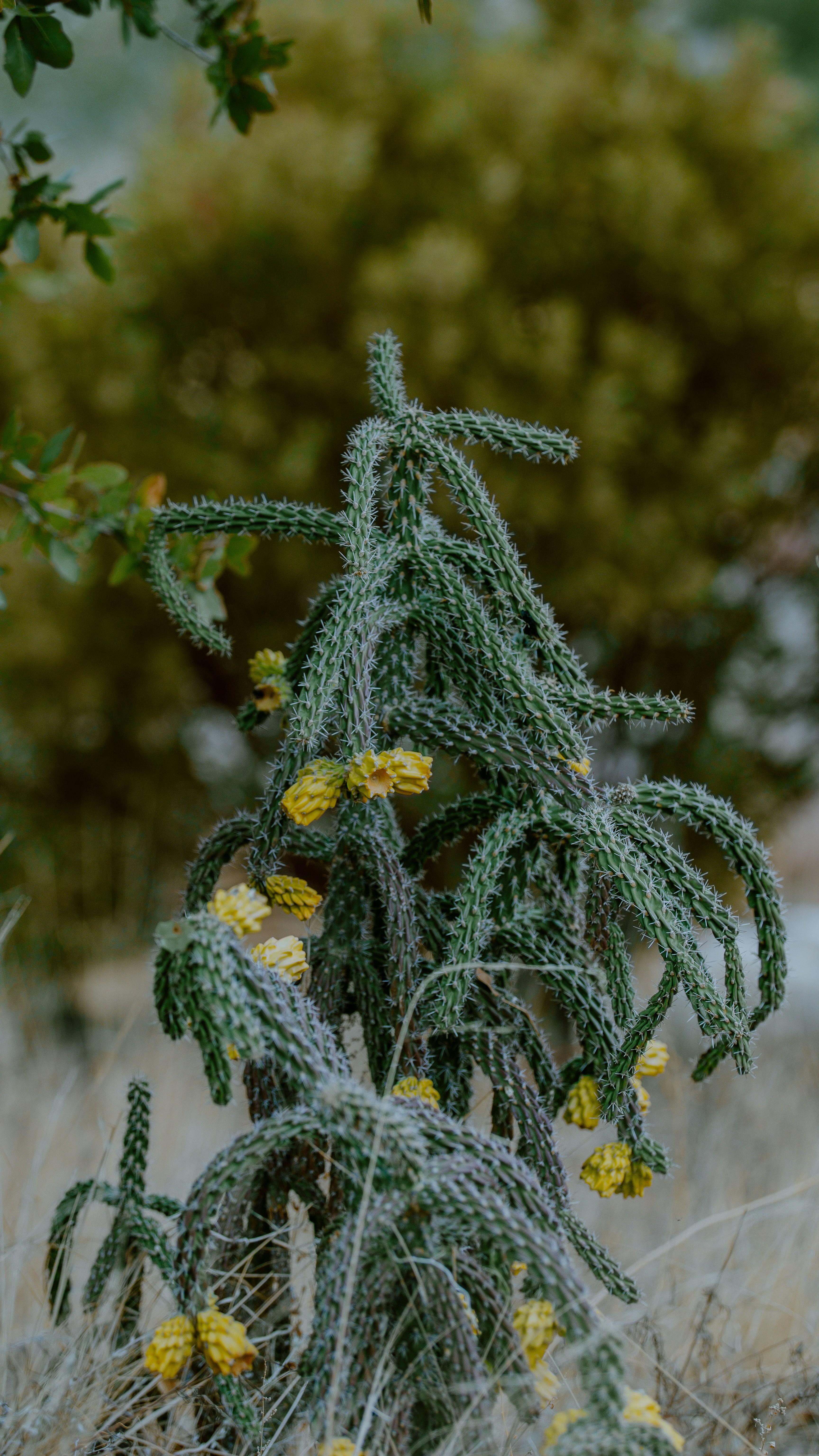 Photo by joseph_royer