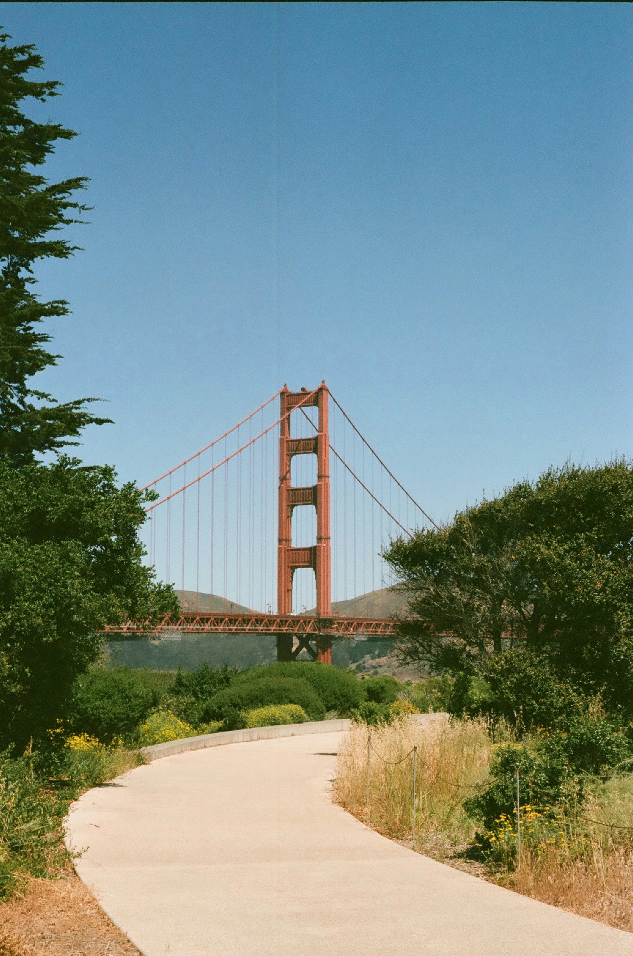 A view of the golden gate bridge from the park