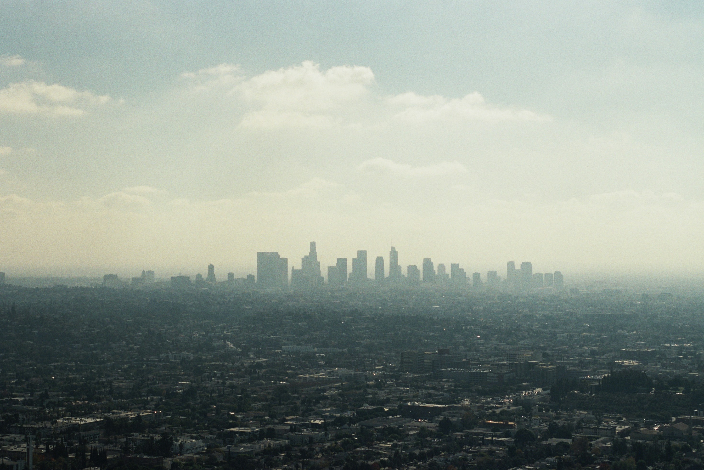 Photo by imgavinwilson