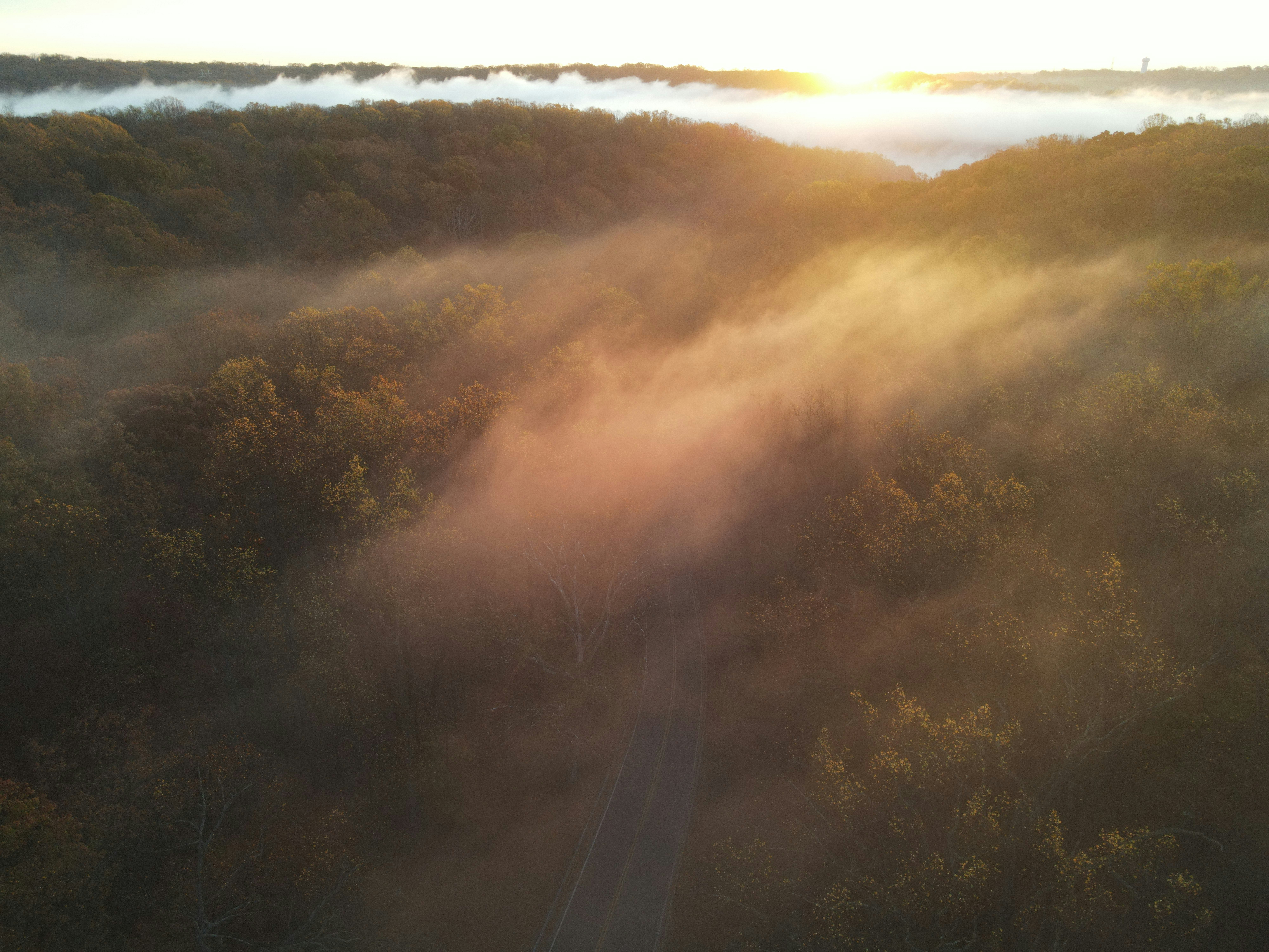 An aerial view of a foggy forest at sunset