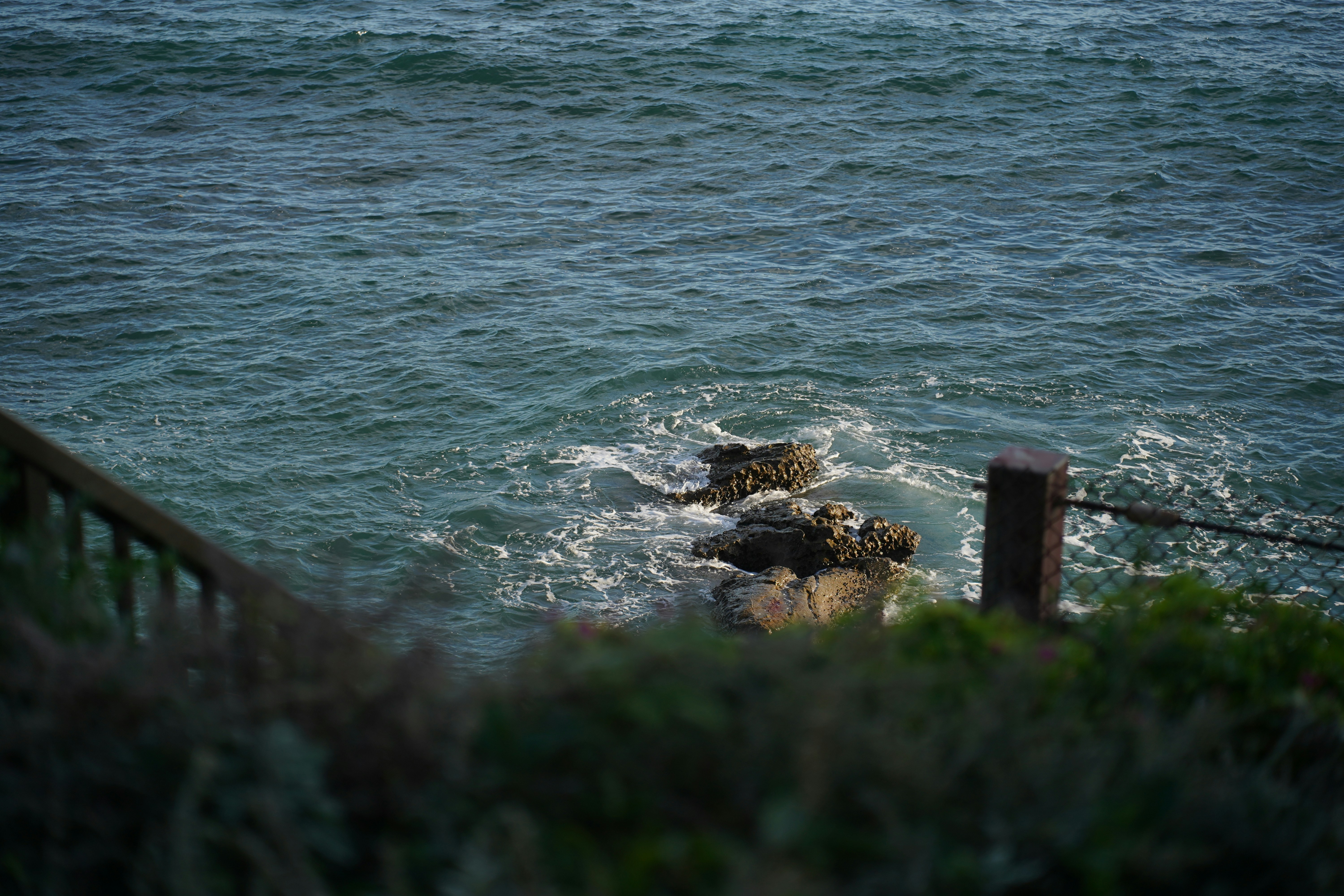 Photo by jivangarcha