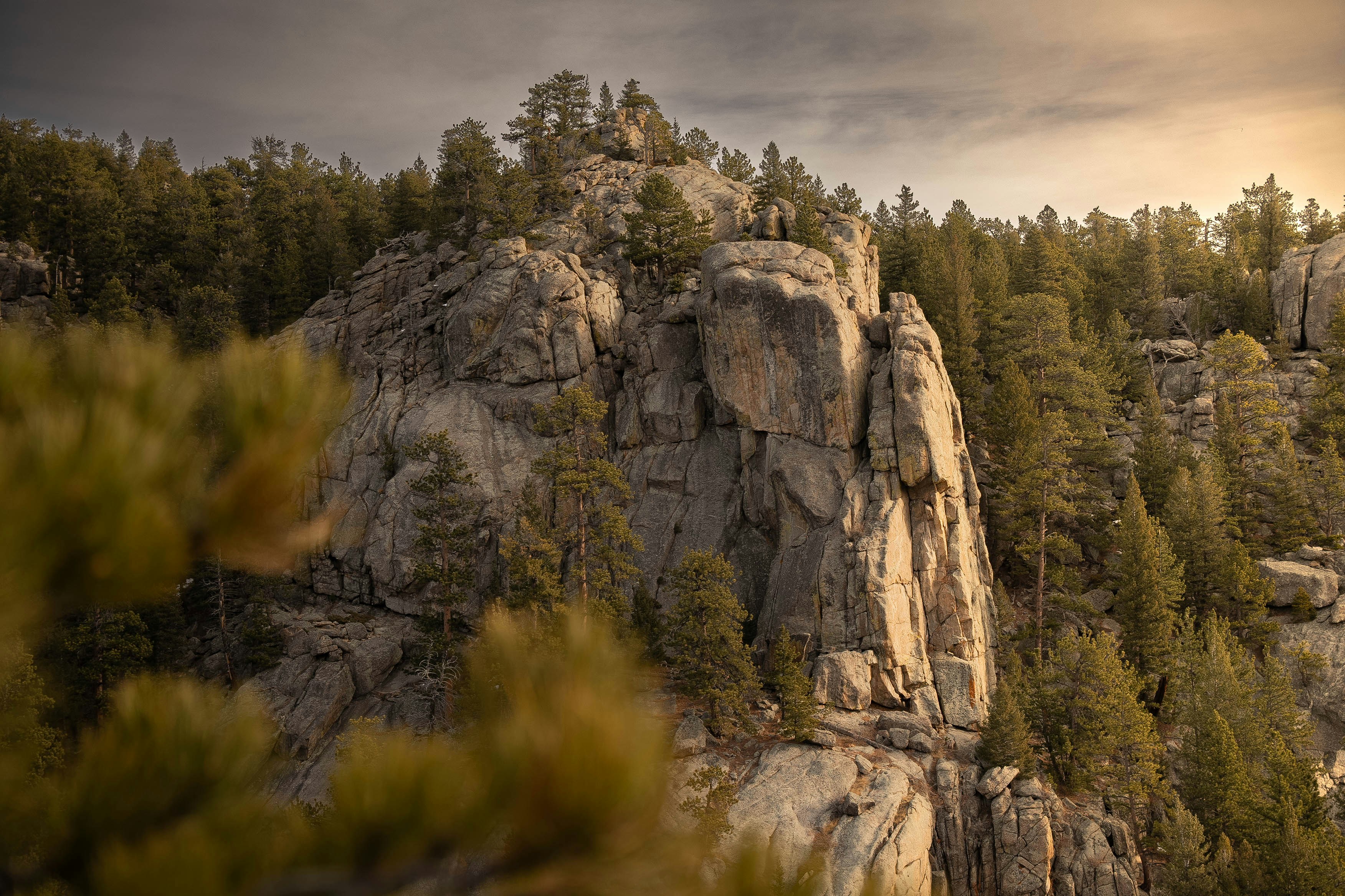 A view of a rocky mountain with pine trees