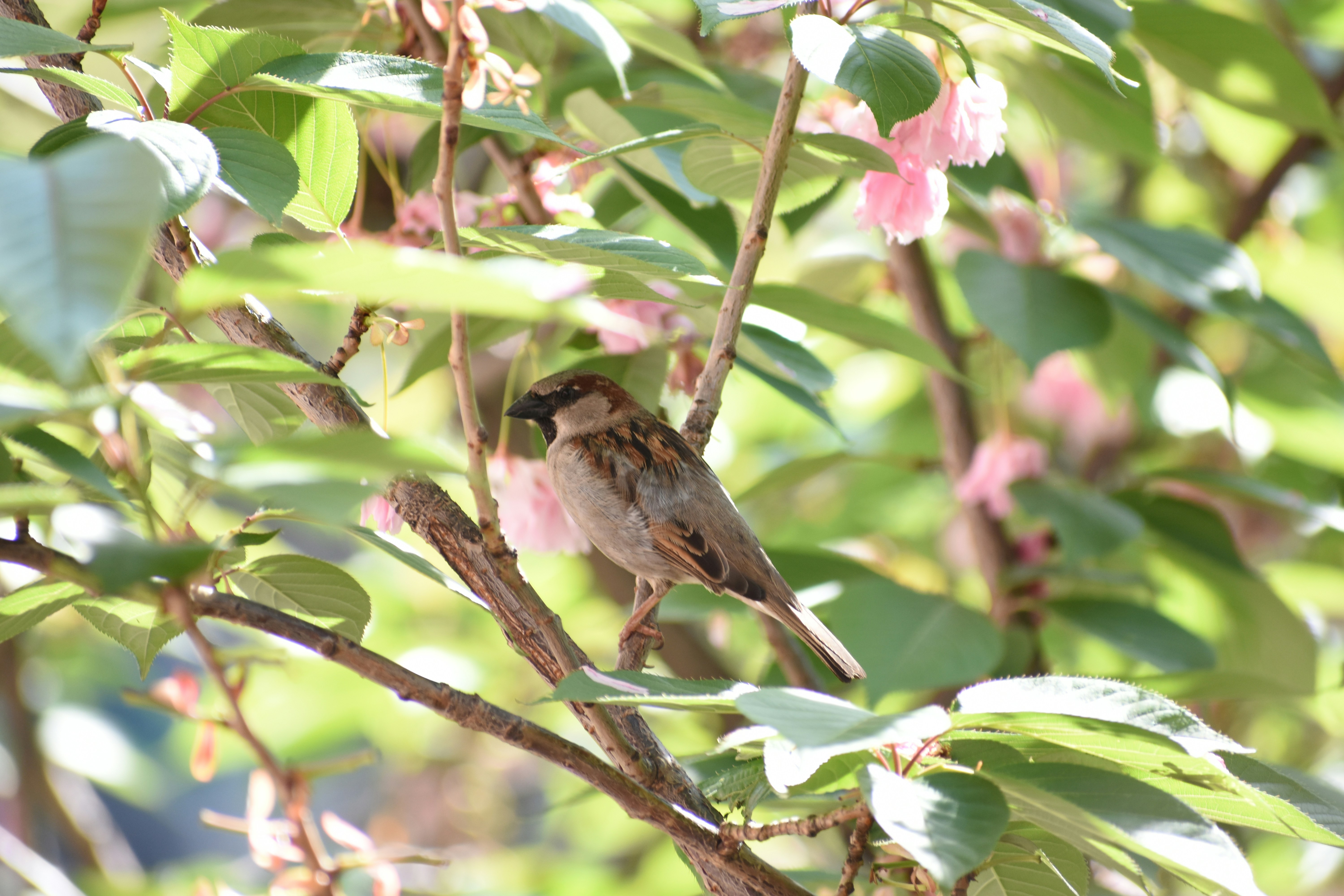 Photo by cranialgunk