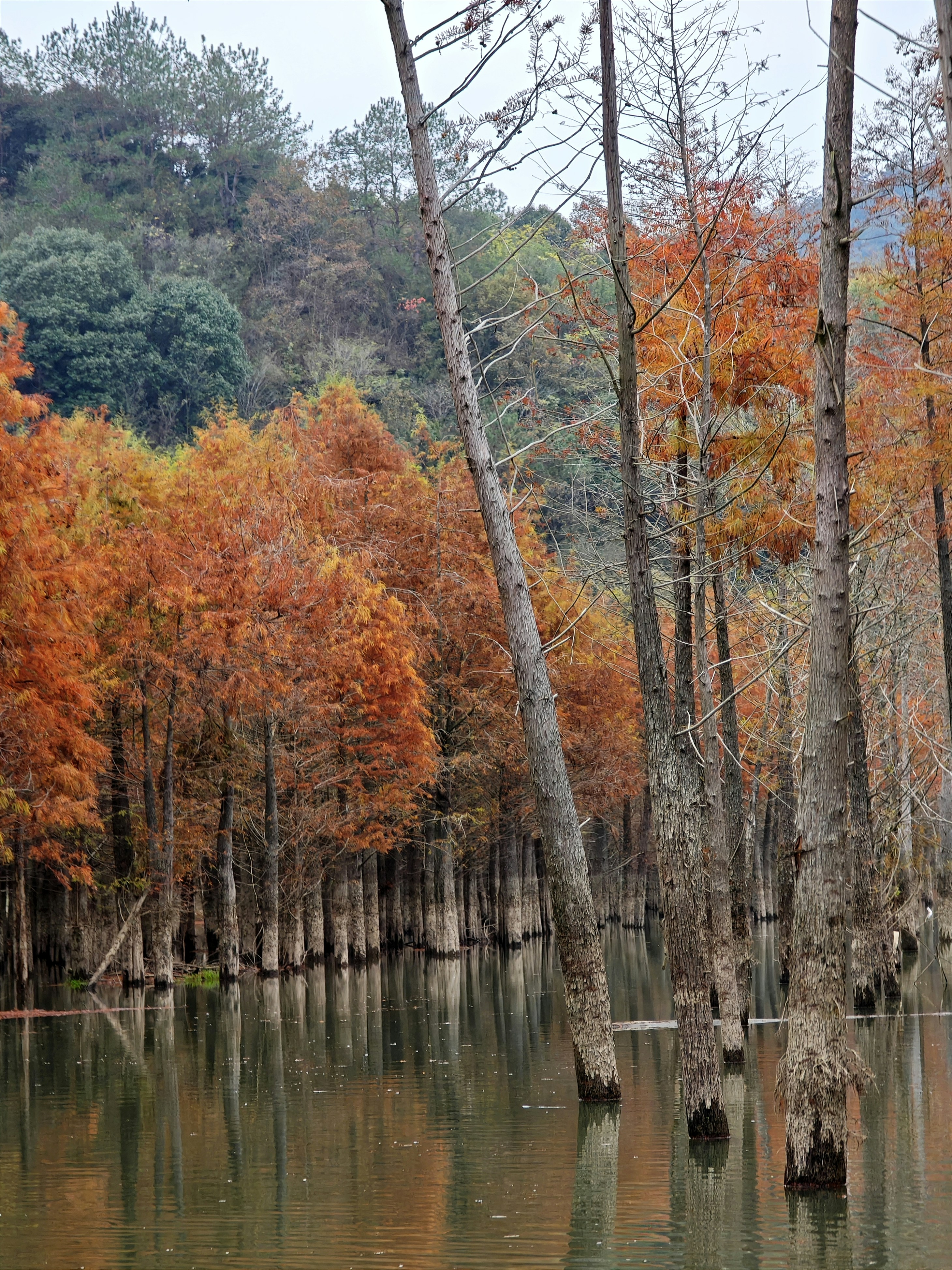 Photo by xiguadesign