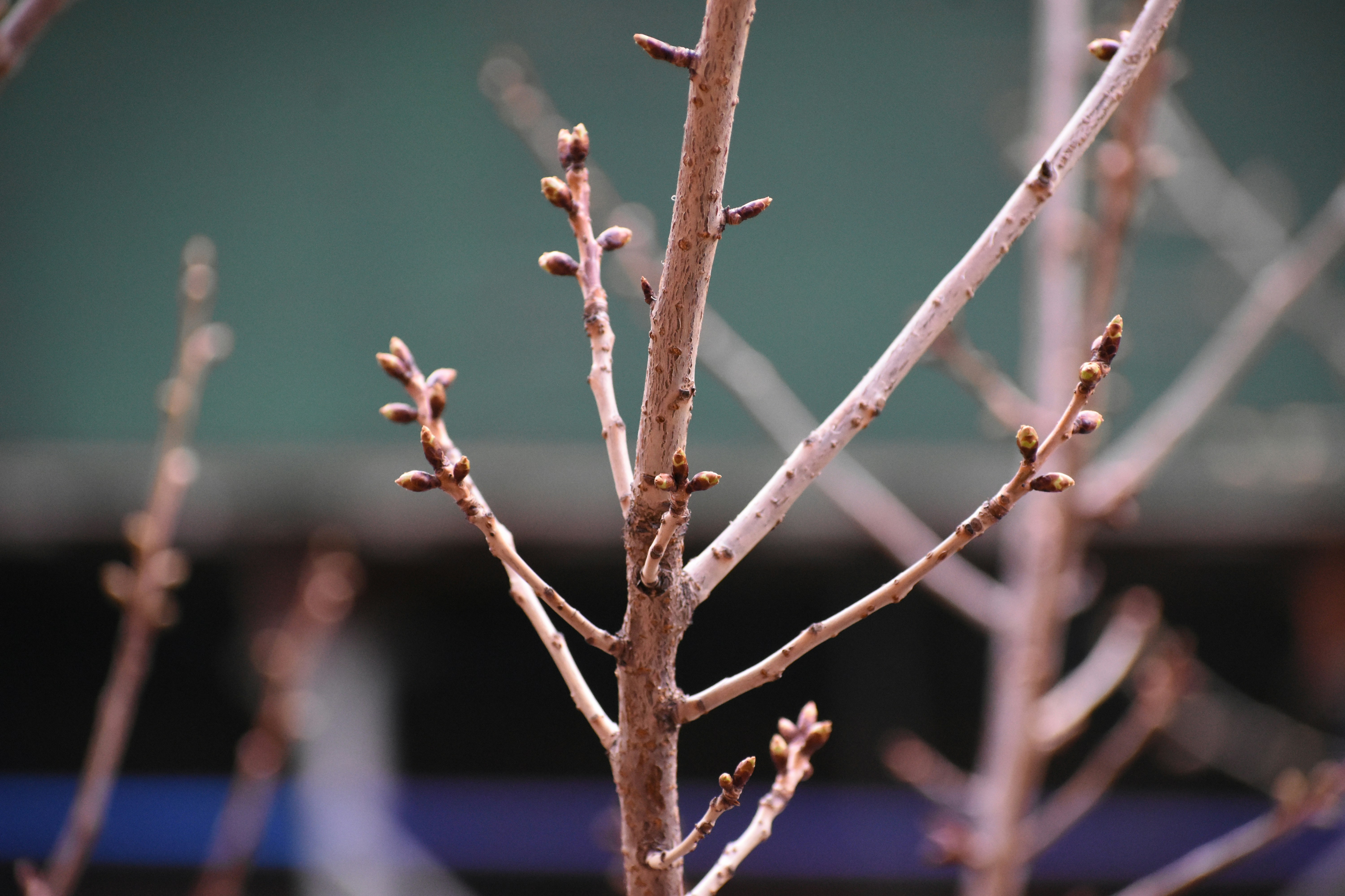 Photo by cranialgunk