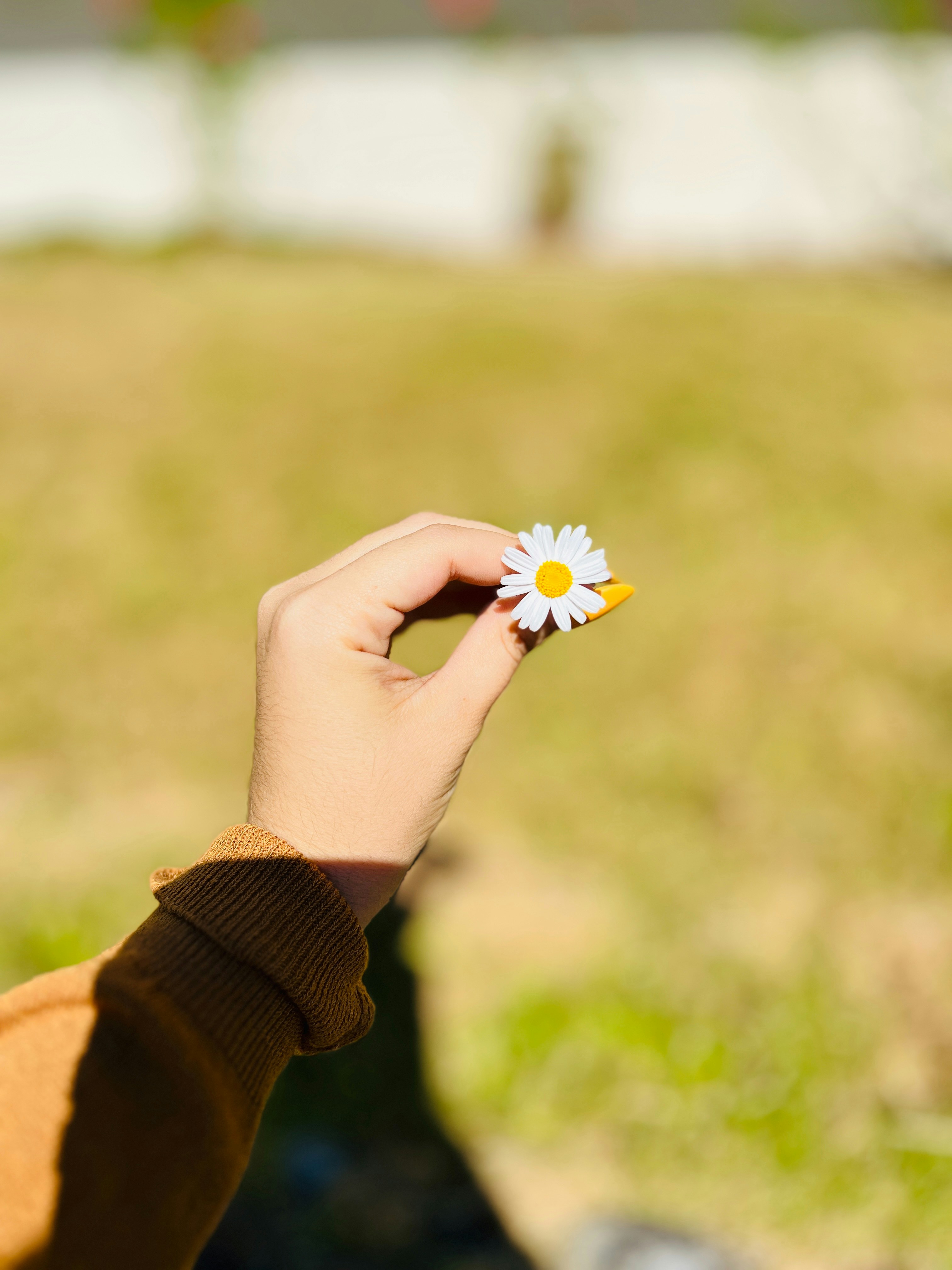 Photo by georginabaly