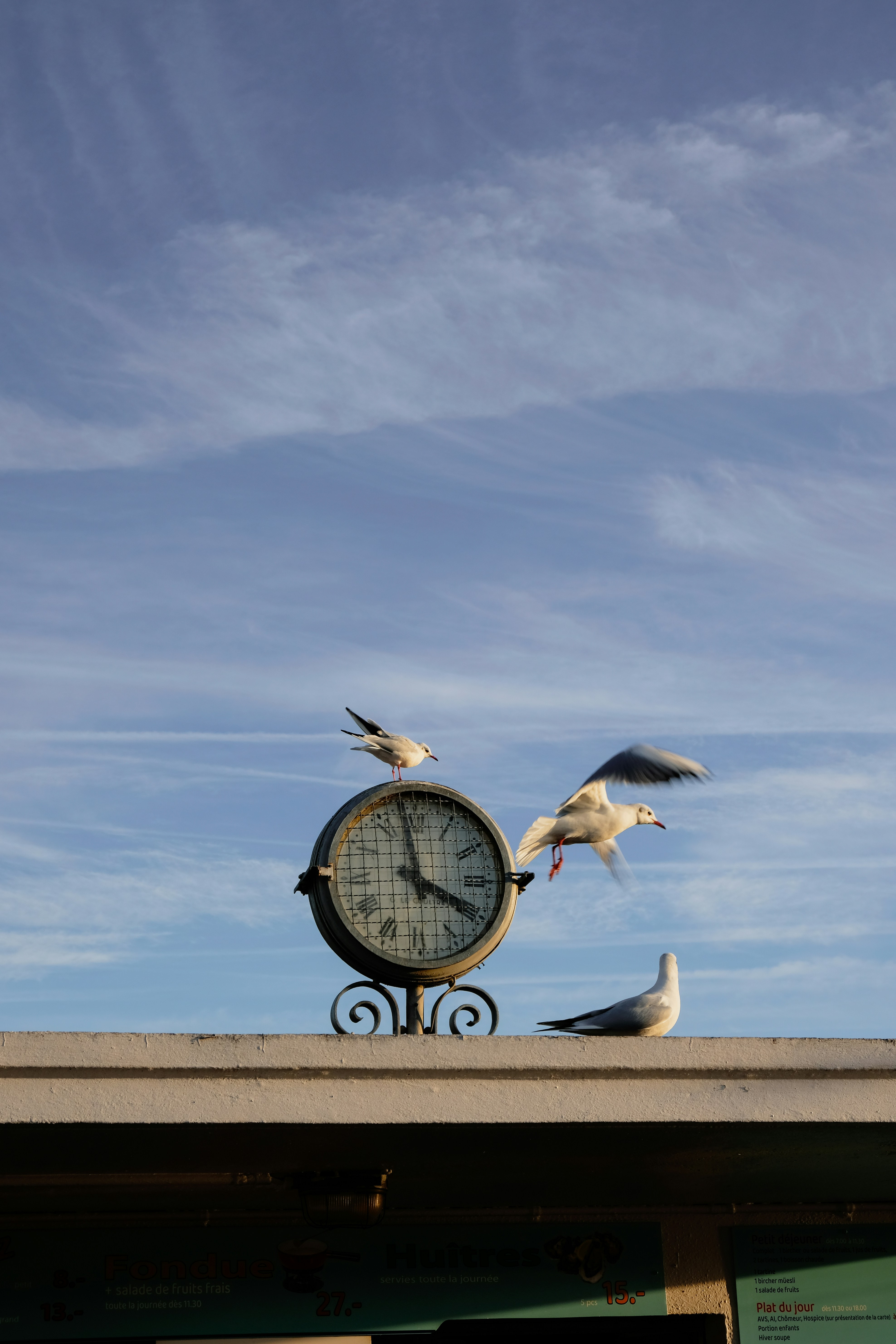 A clock on top of a building with seagulls flying around