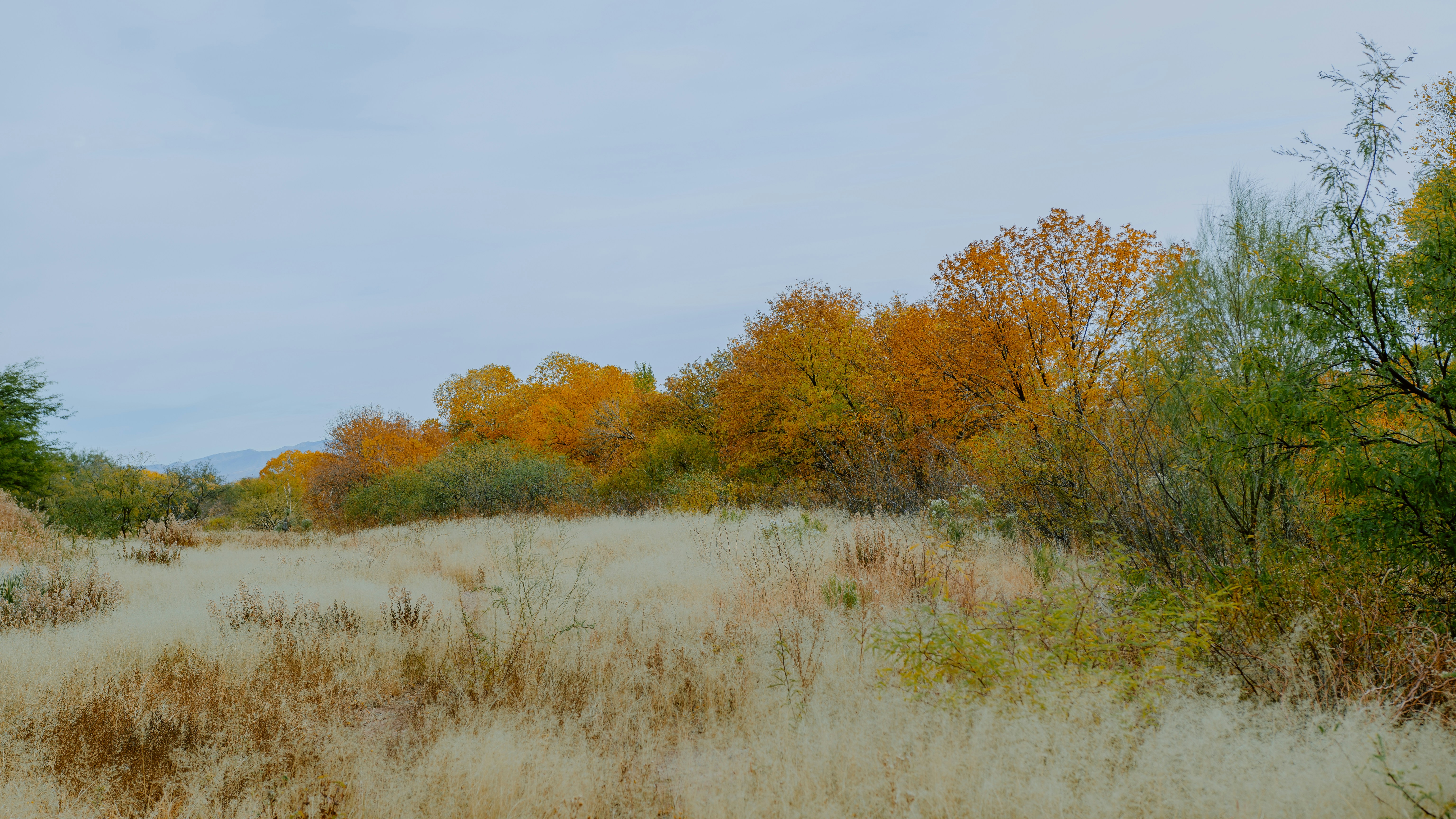 Photo by joseph_royer