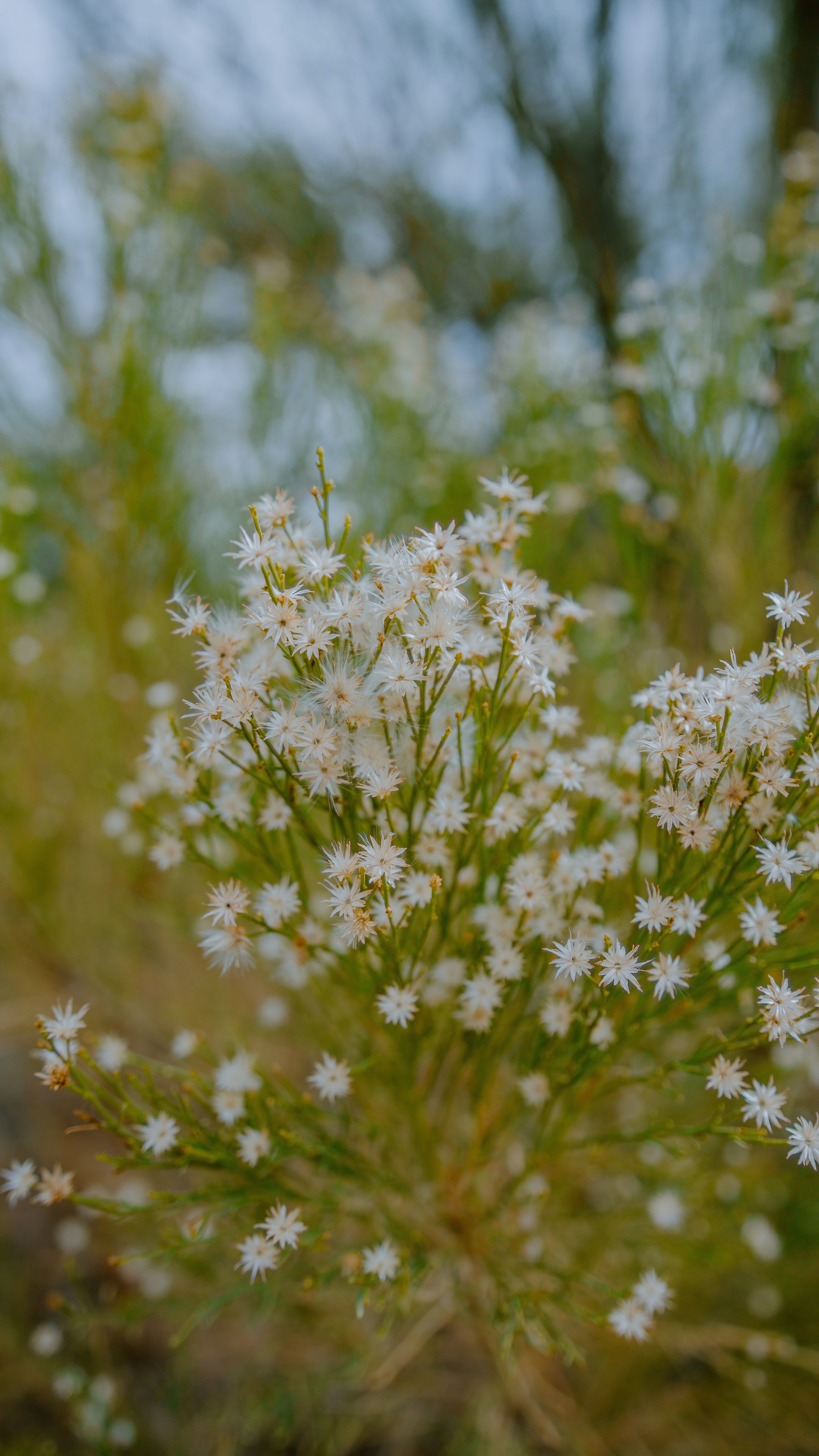 Photo by joseph_royer