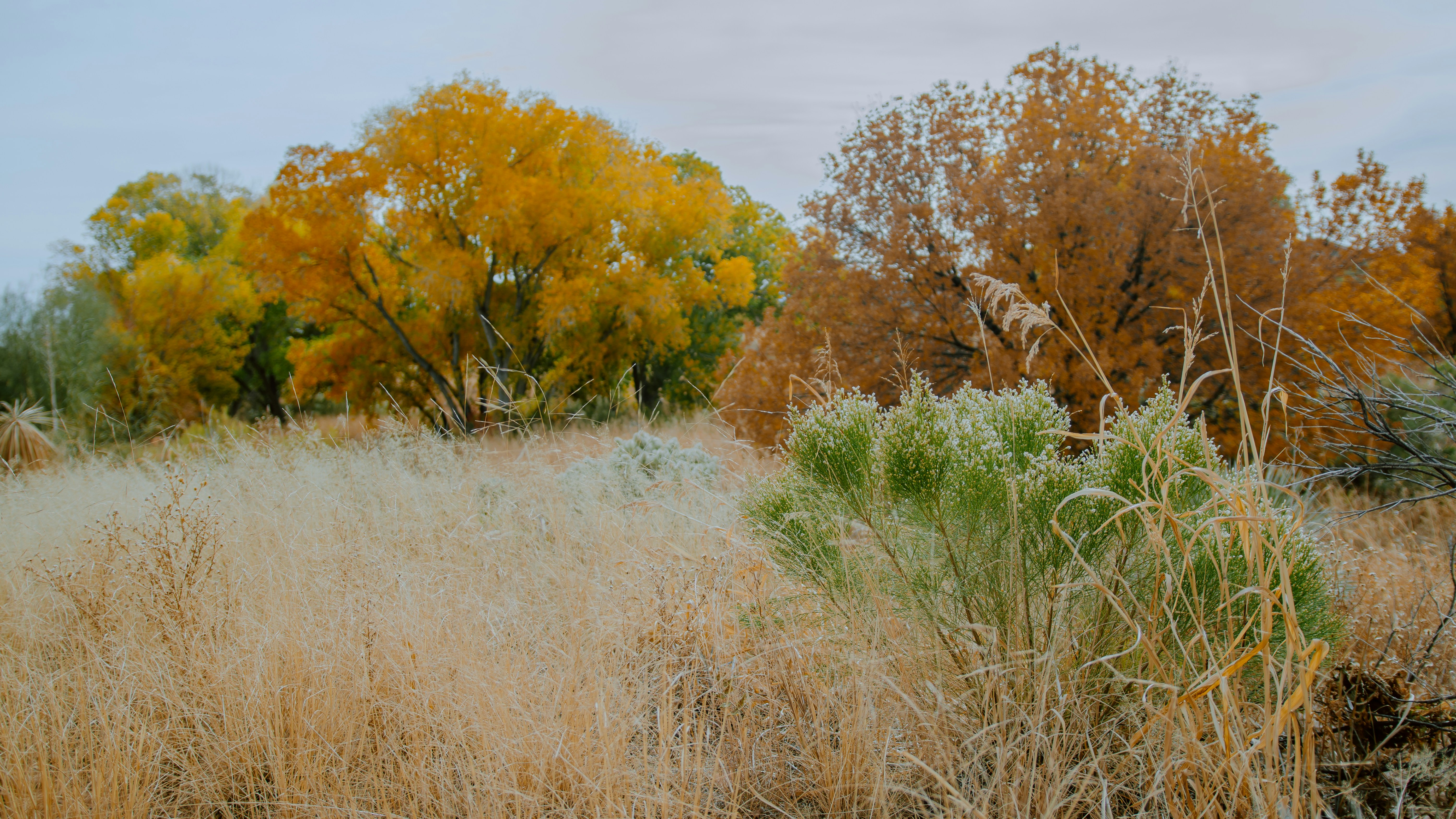 Photo by joseph_royer