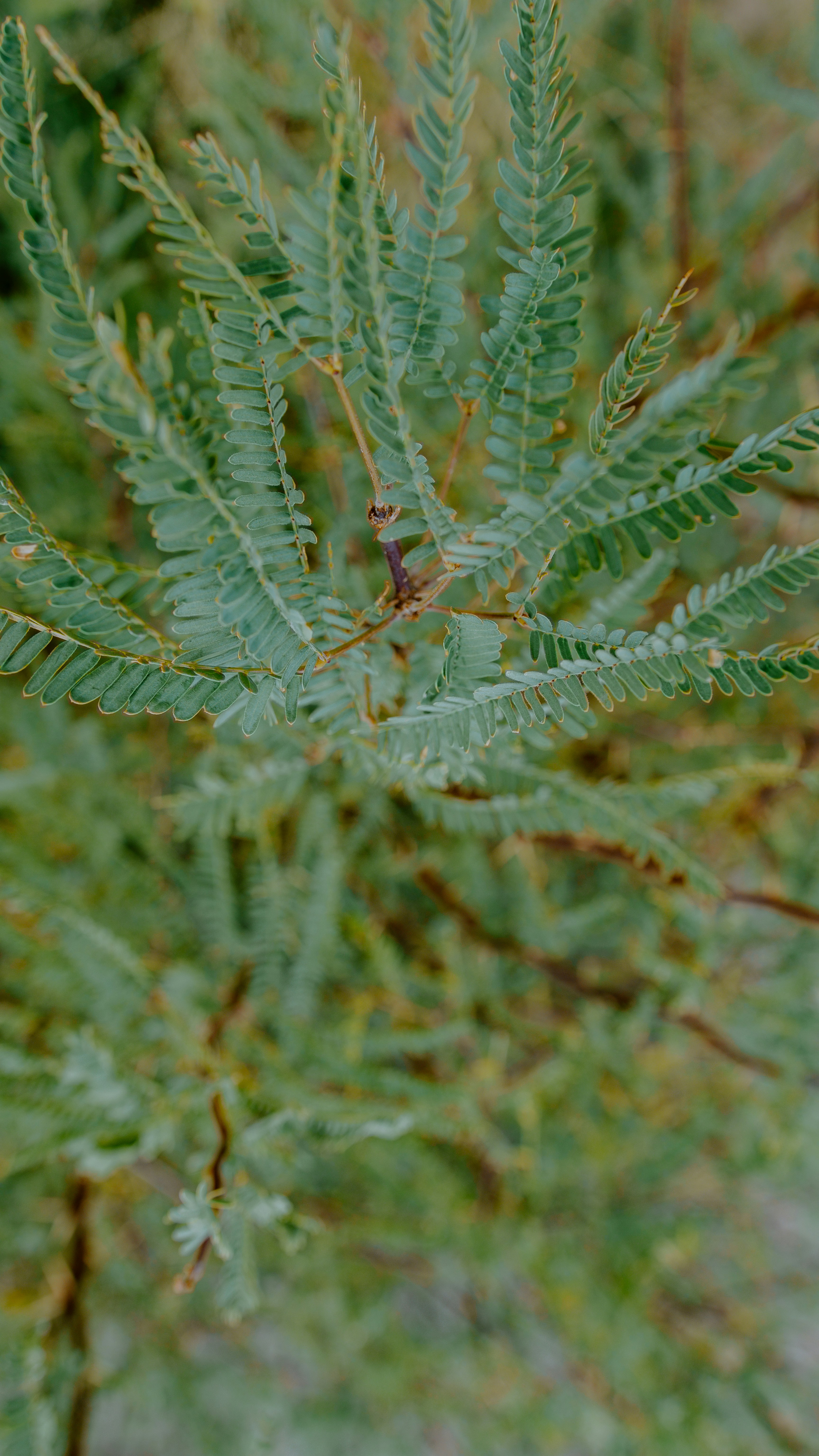 Photo by joseph_royer