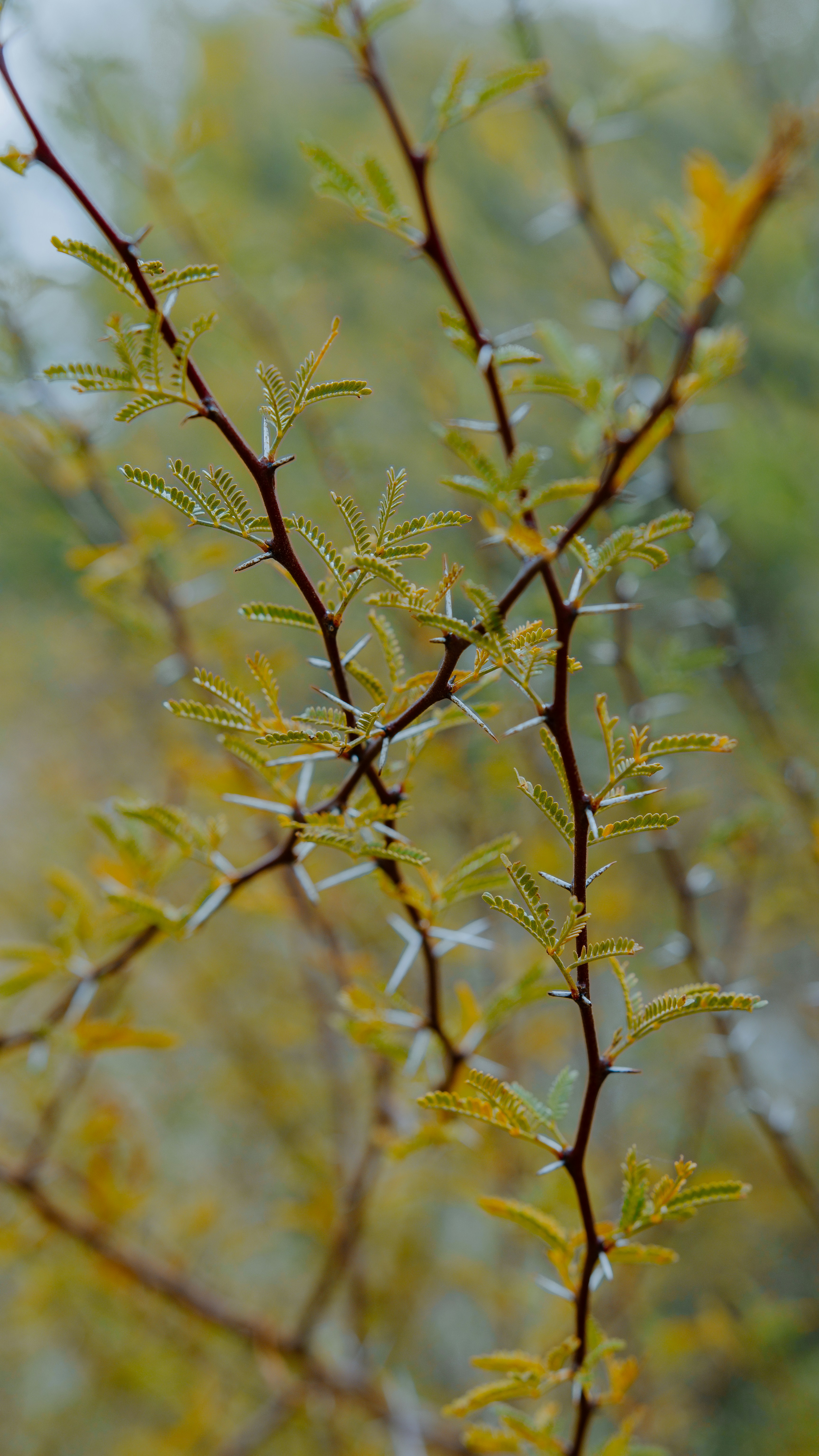 Photo by joseph_royer