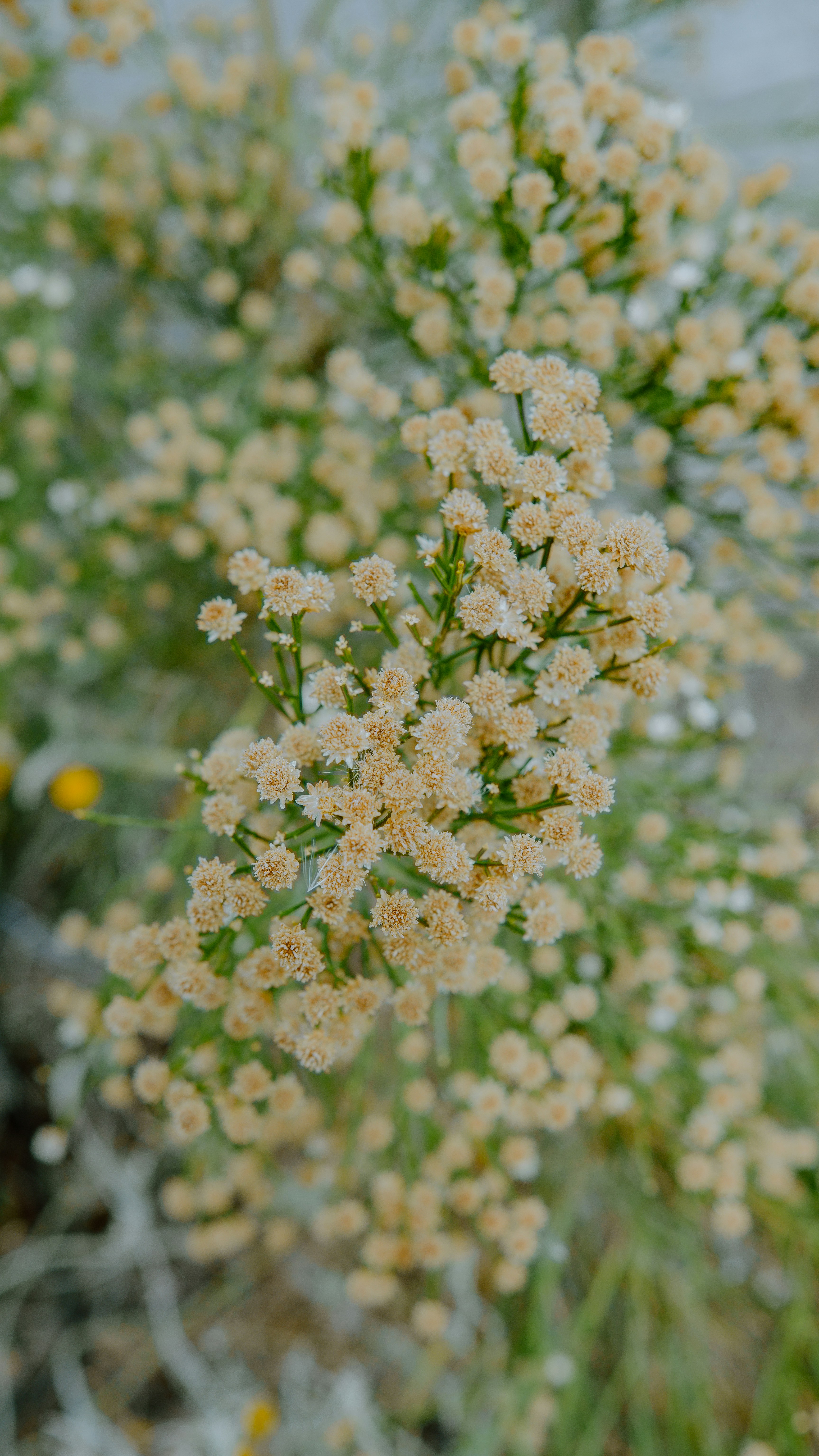 Photo by joseph_royer