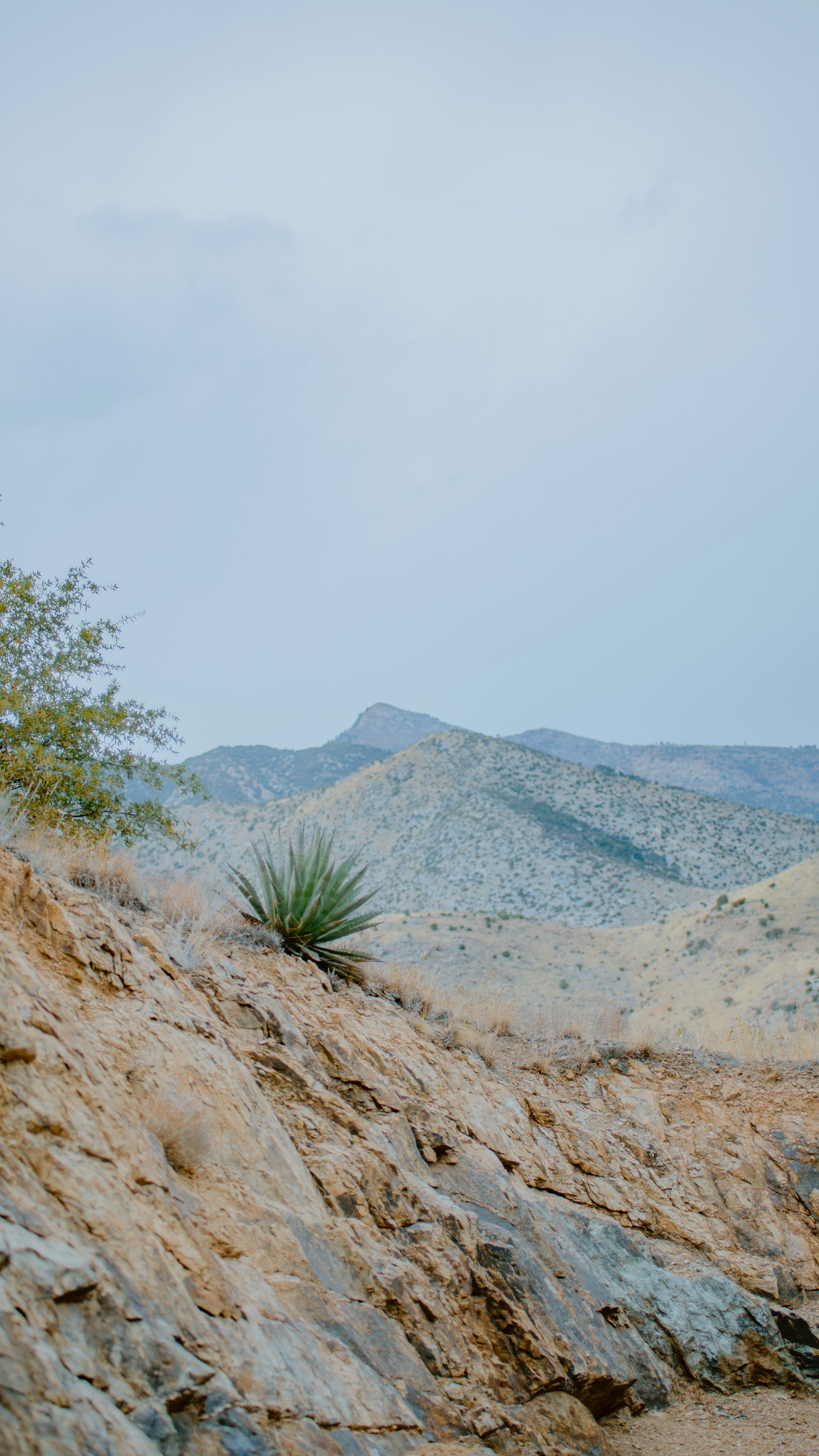 Photo by joseph_royer