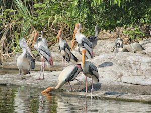 Srirangapatna