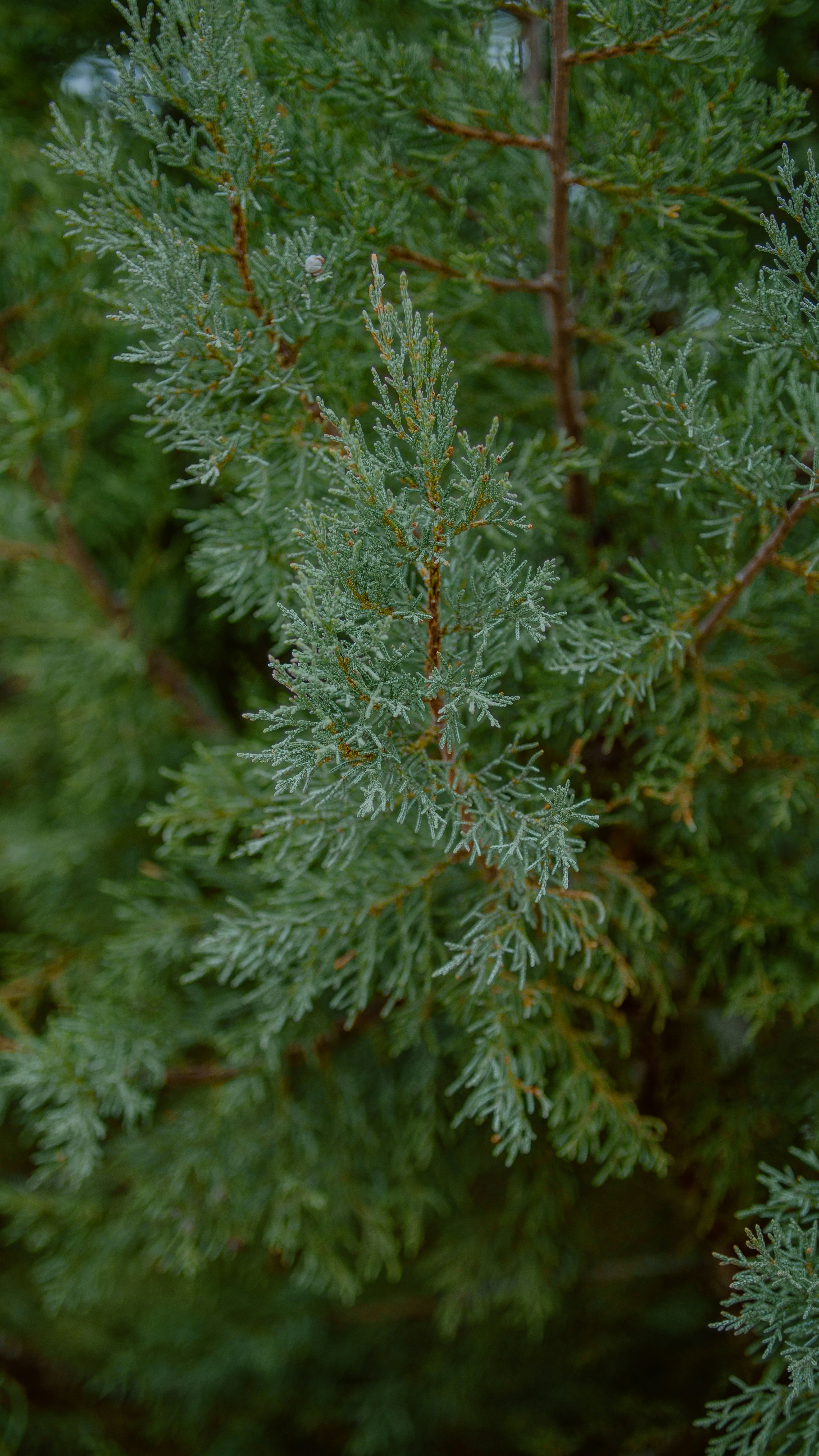 Photo by joseph_royer