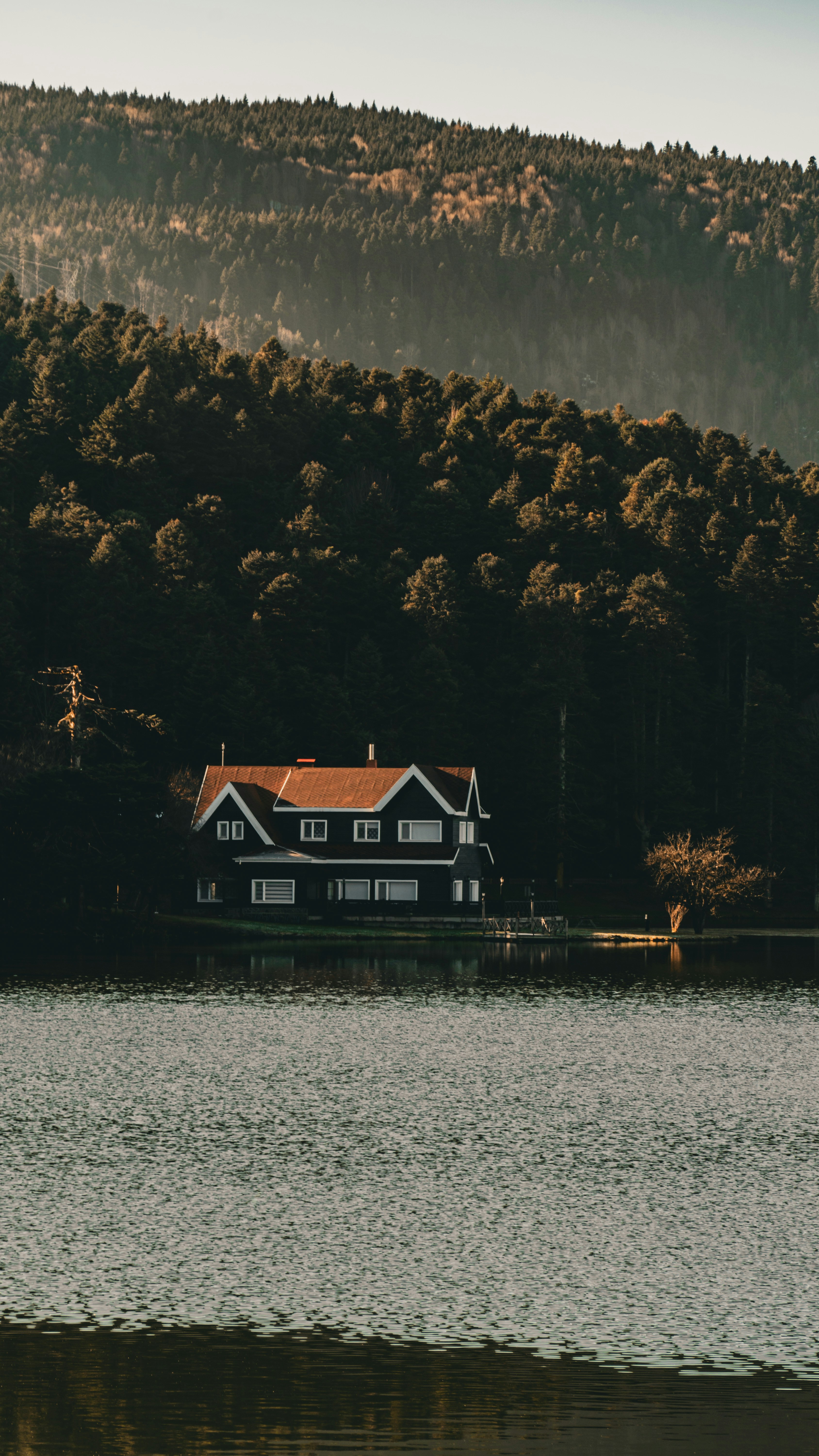 Photo by pydedesigns