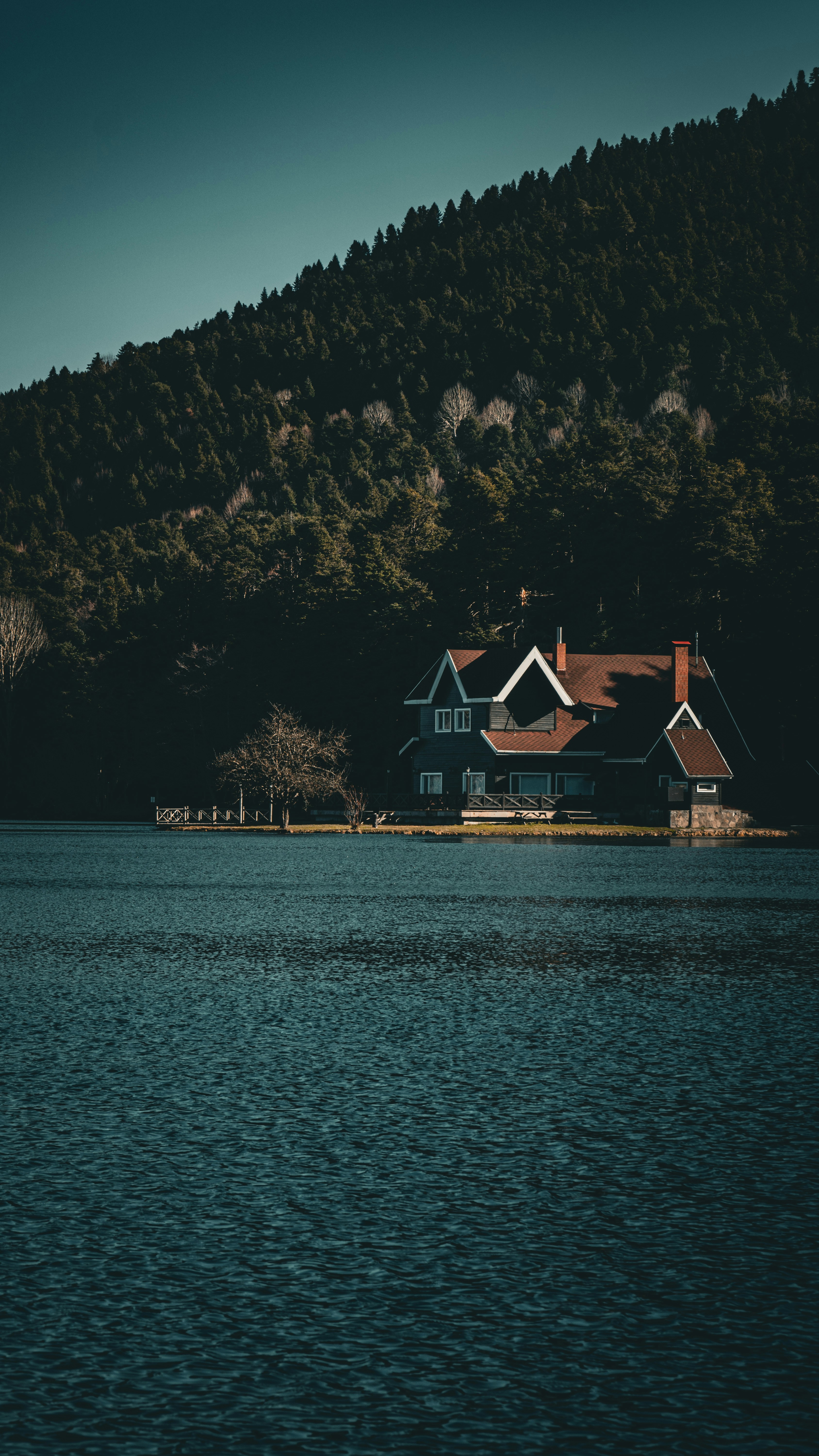 Photo by pydedesigns