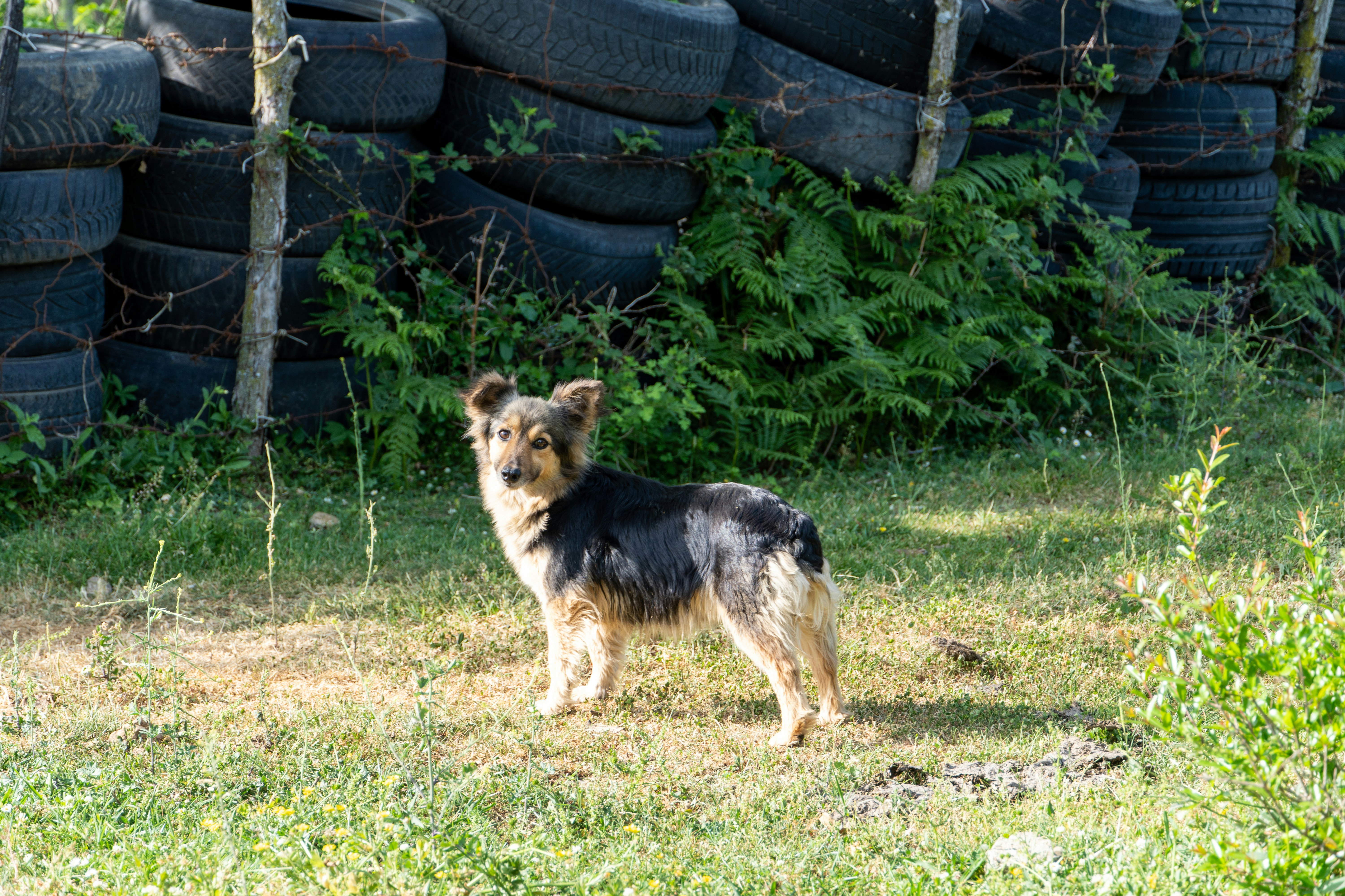 Tskaltubo, Georgia - None