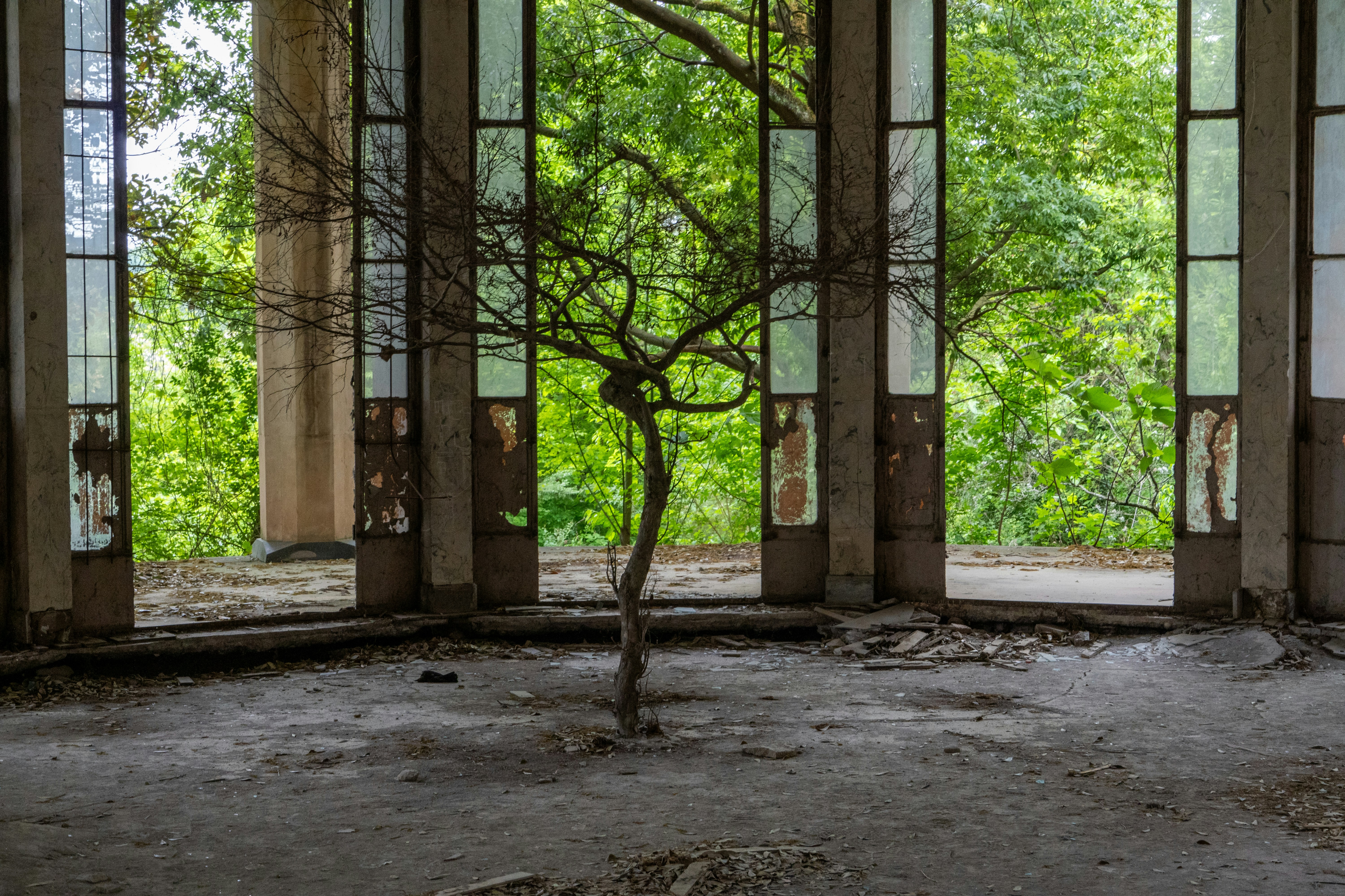 Photo by shabablinchikow