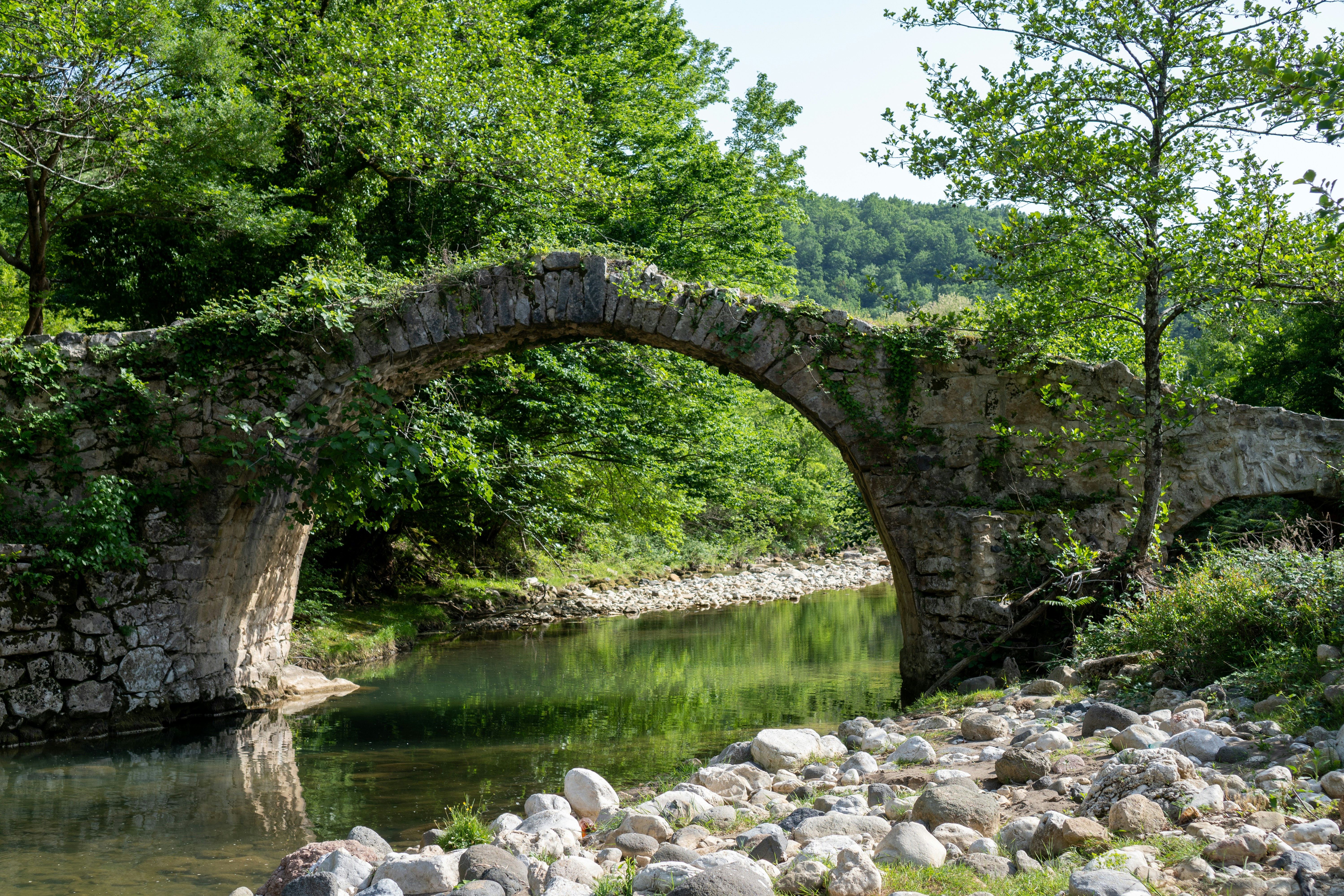 Photo by shabablinchikow