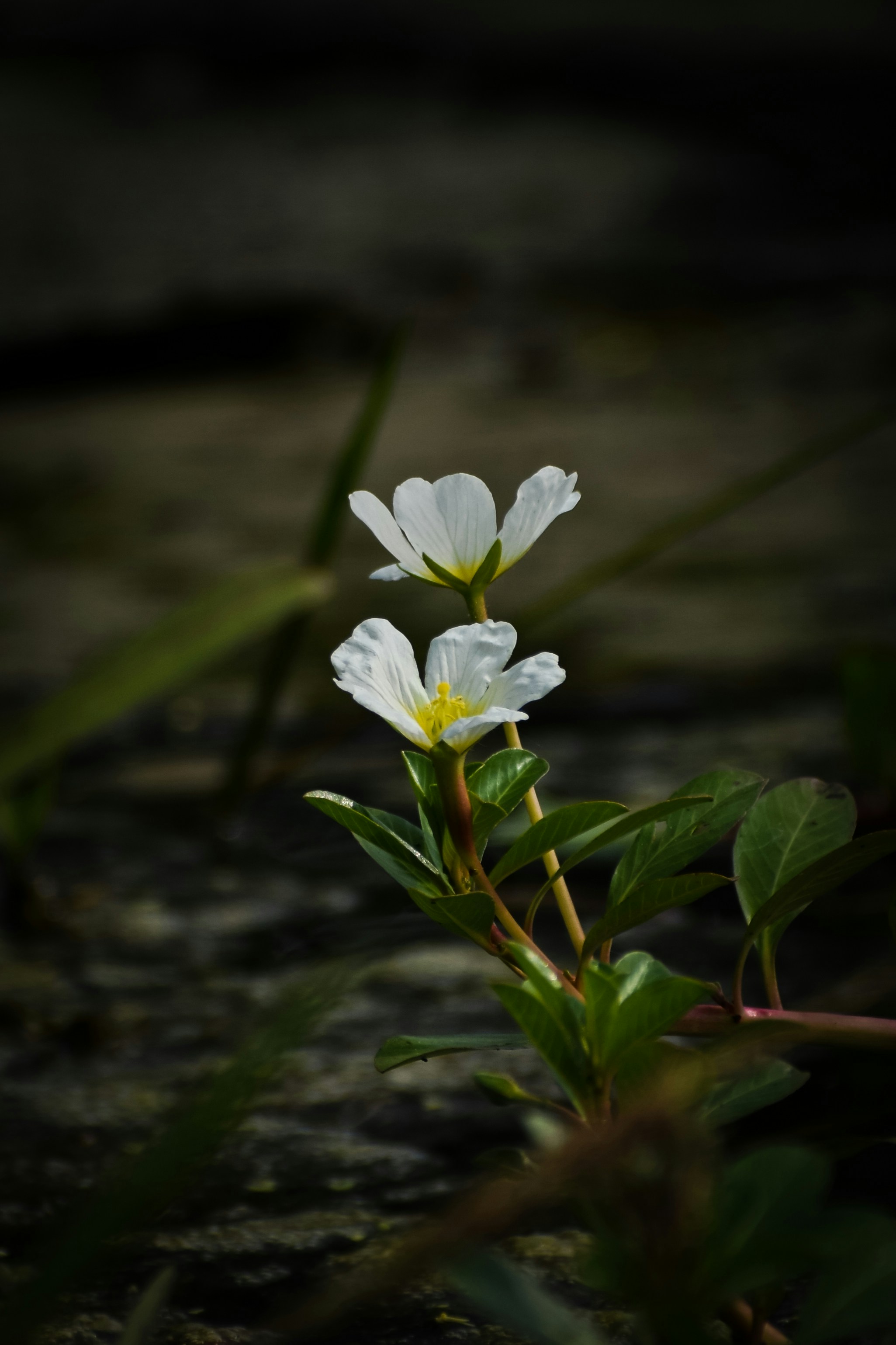 Photo by adventurelife24