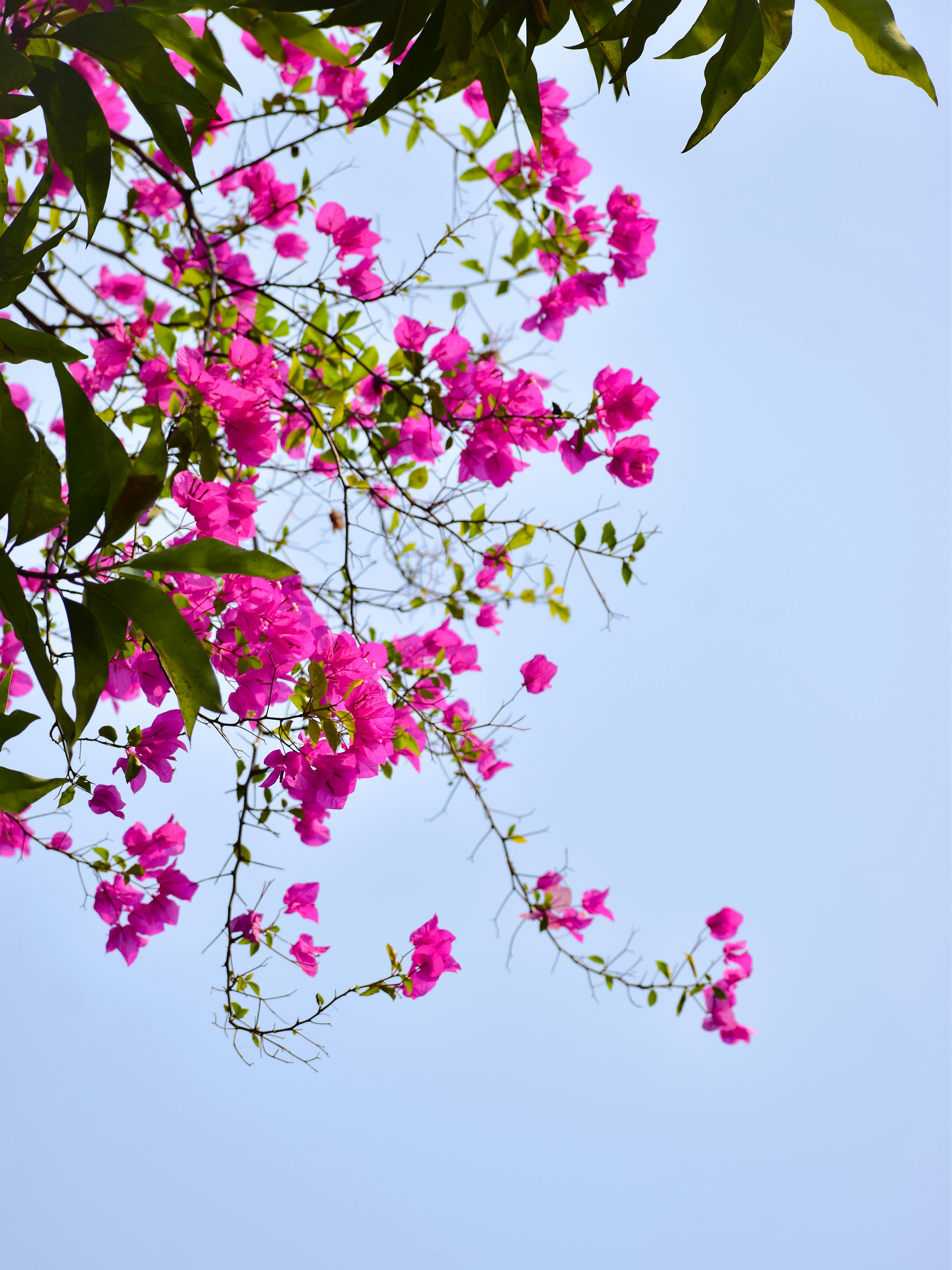 Photo by adventurelife24