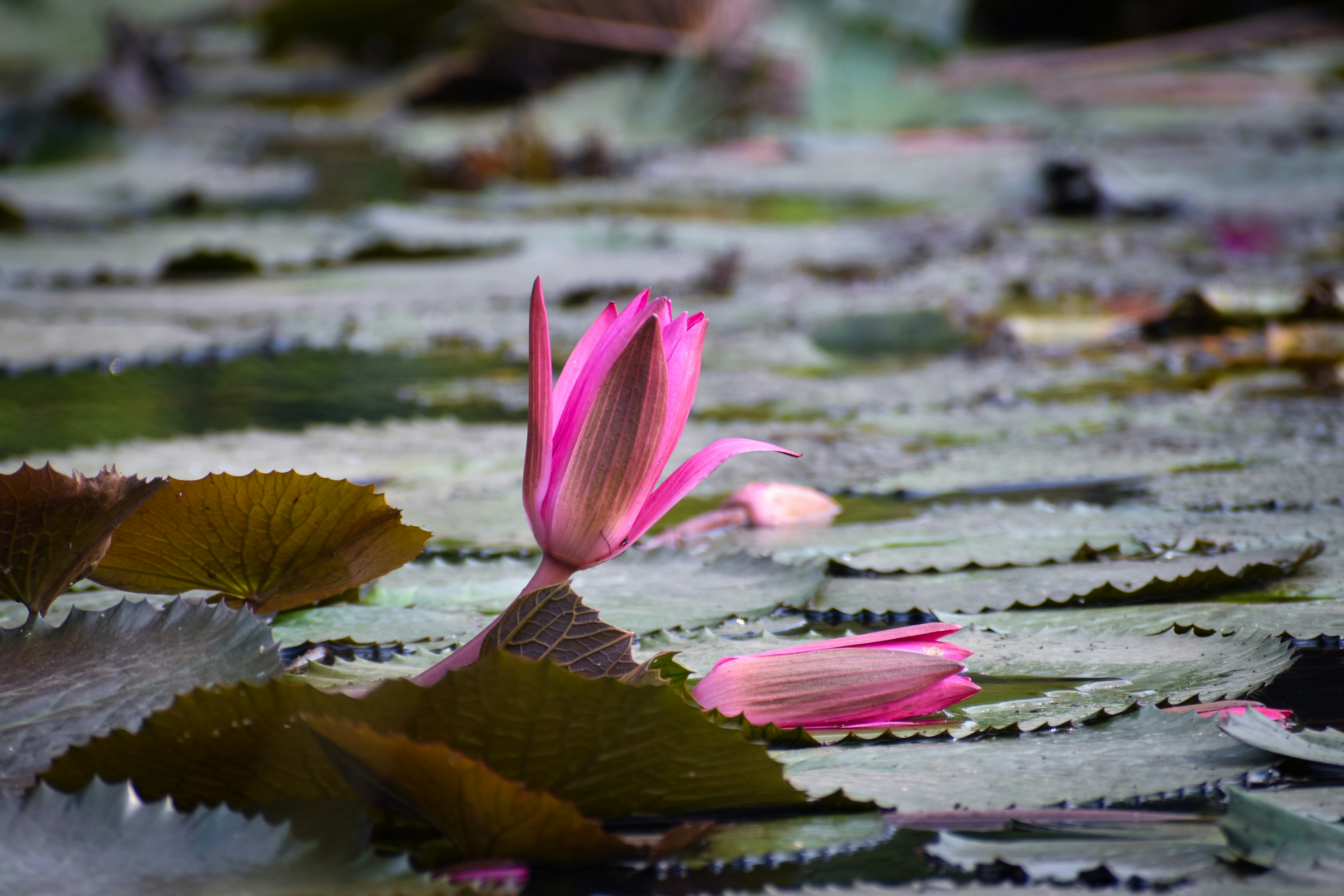 Photo by adventurelife24