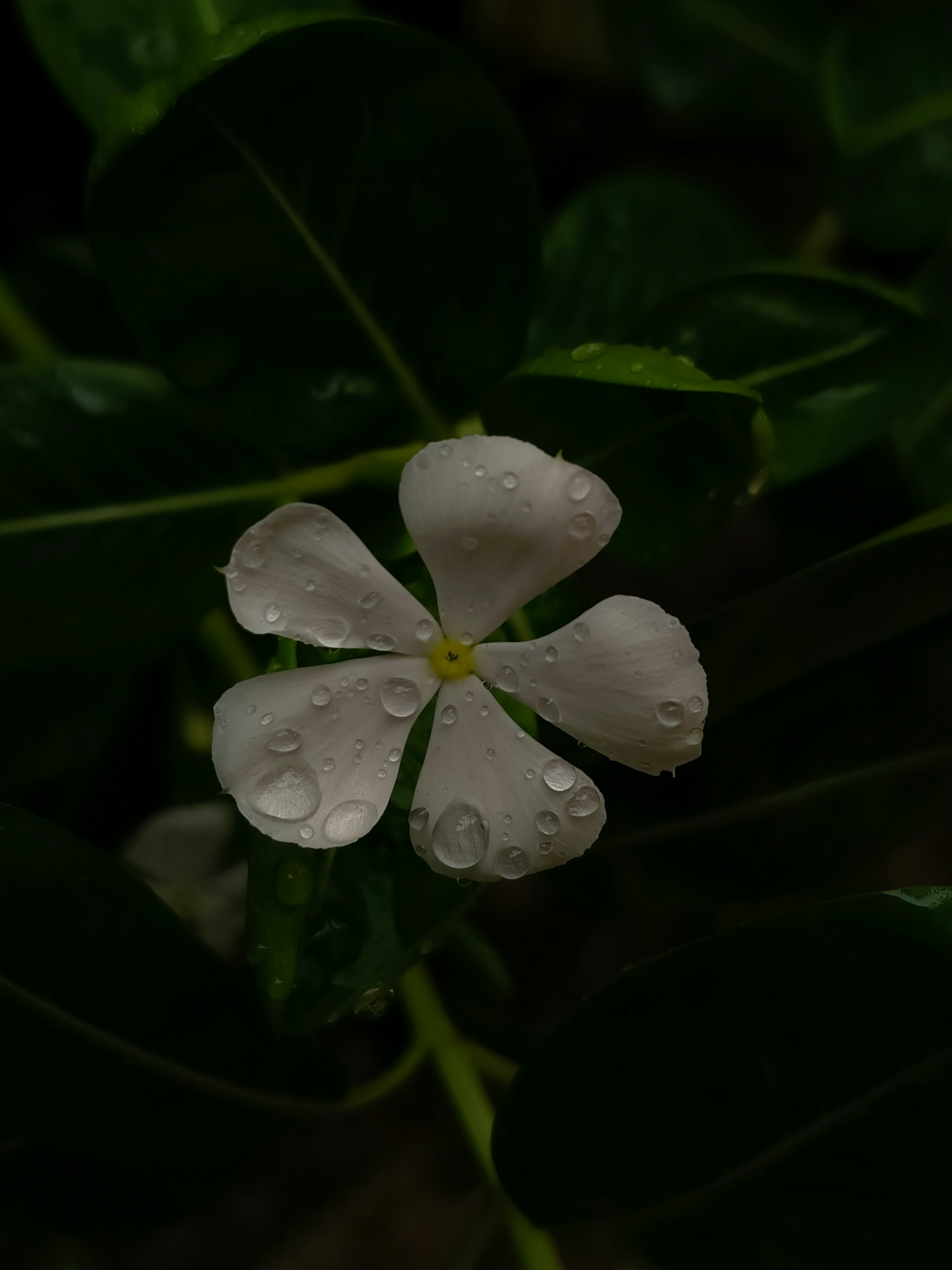 Photo by adventurelife24