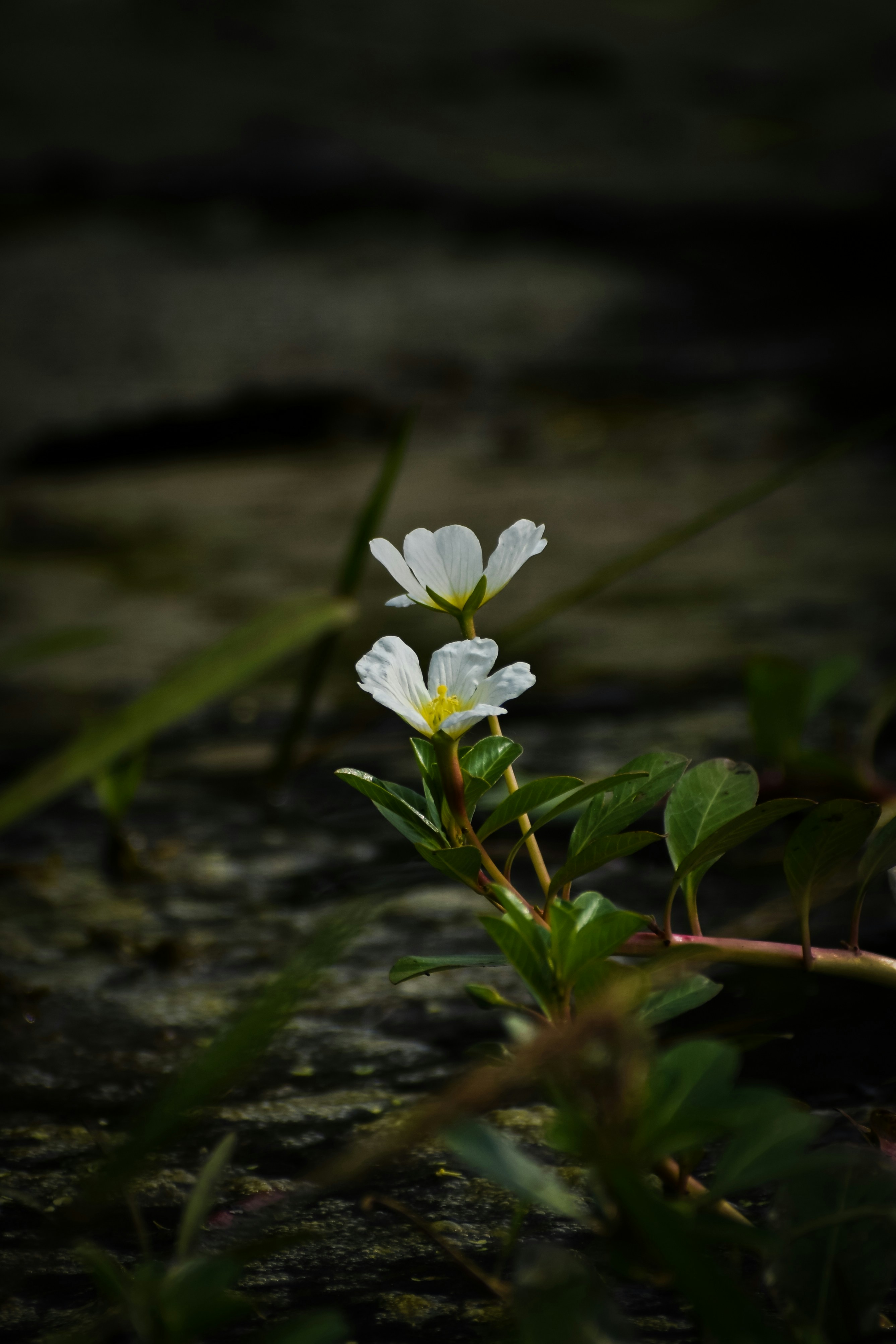 Photo by adventurelife24