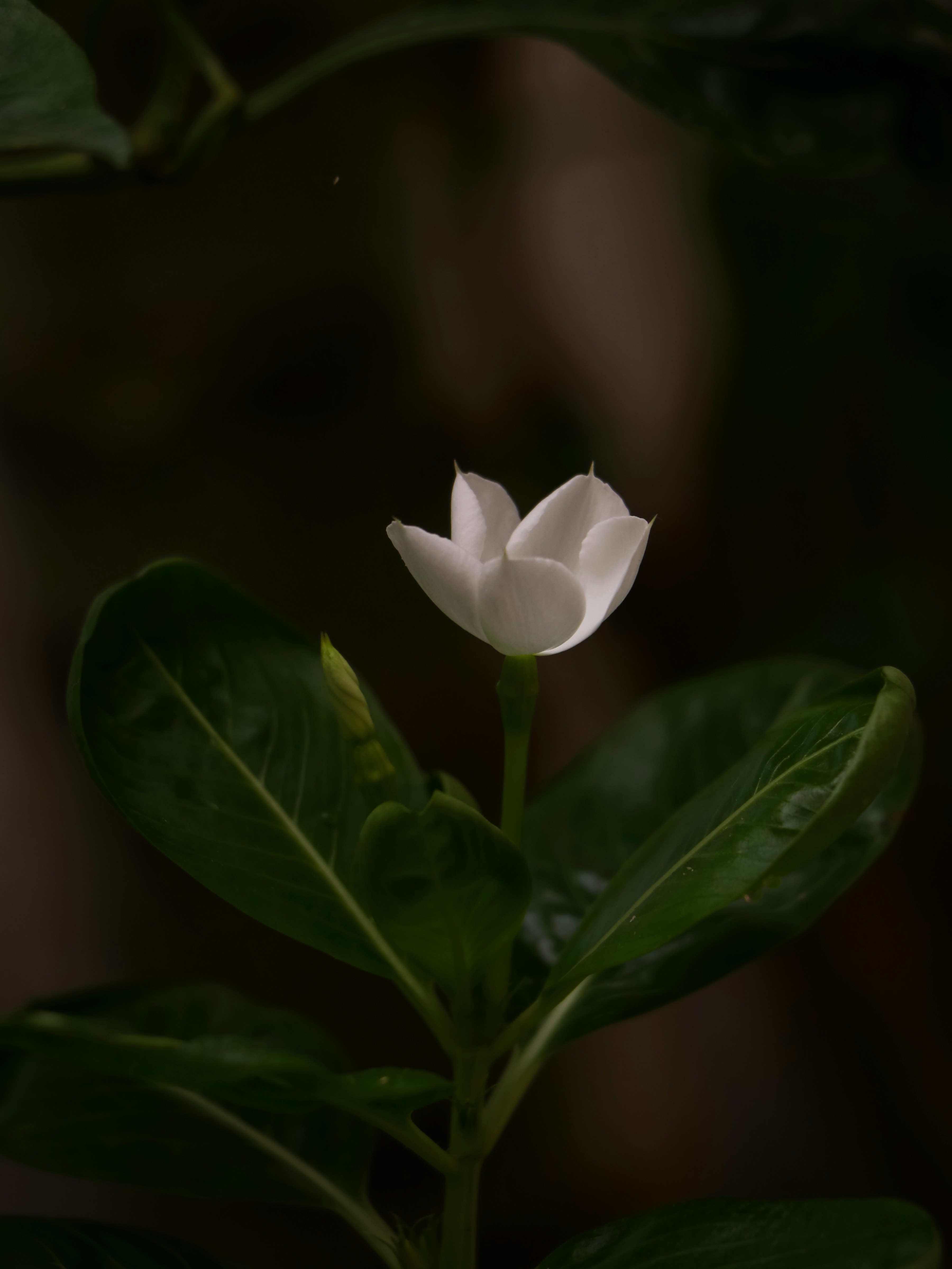 Photo by adventurelife24