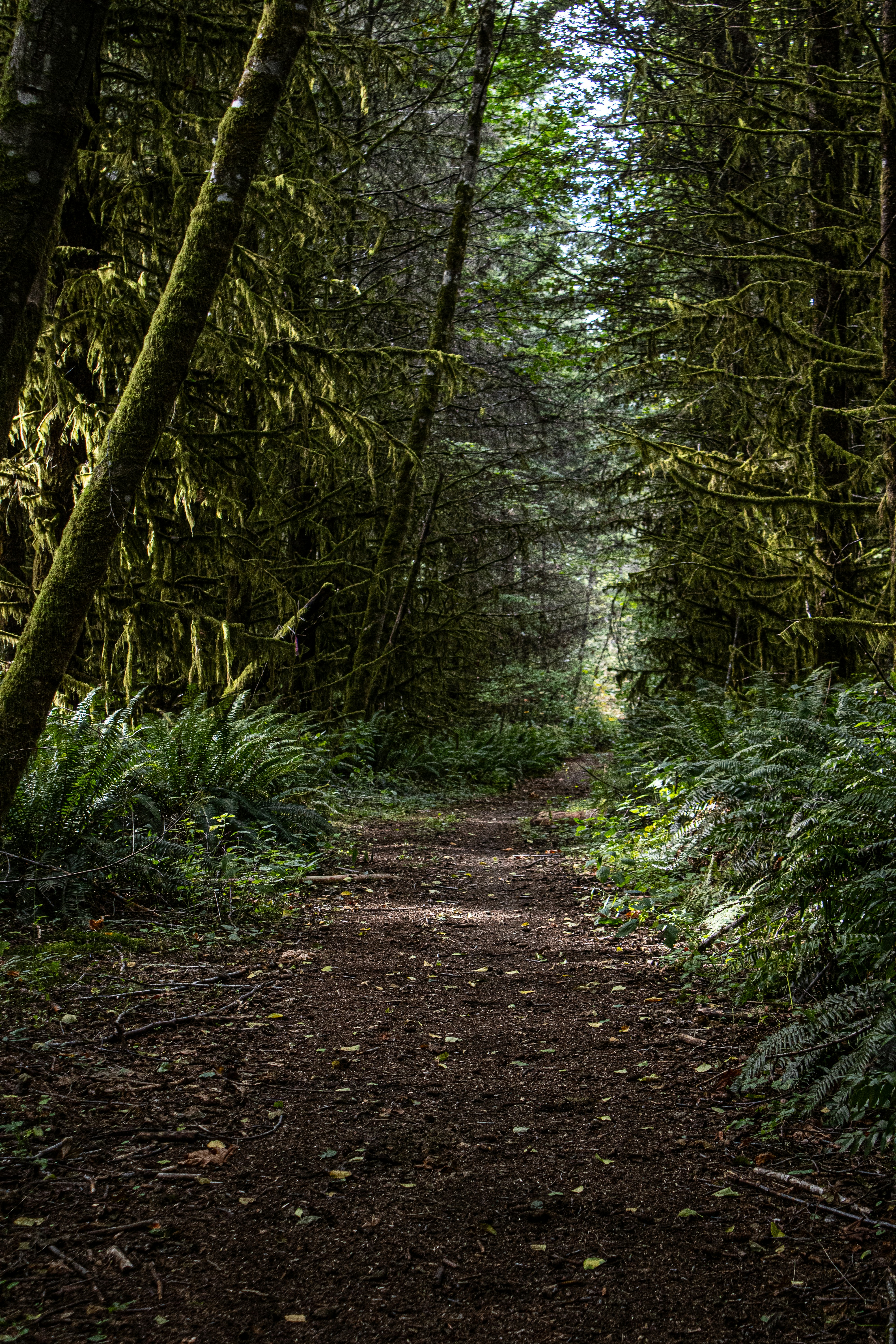 Photo by prphotography262