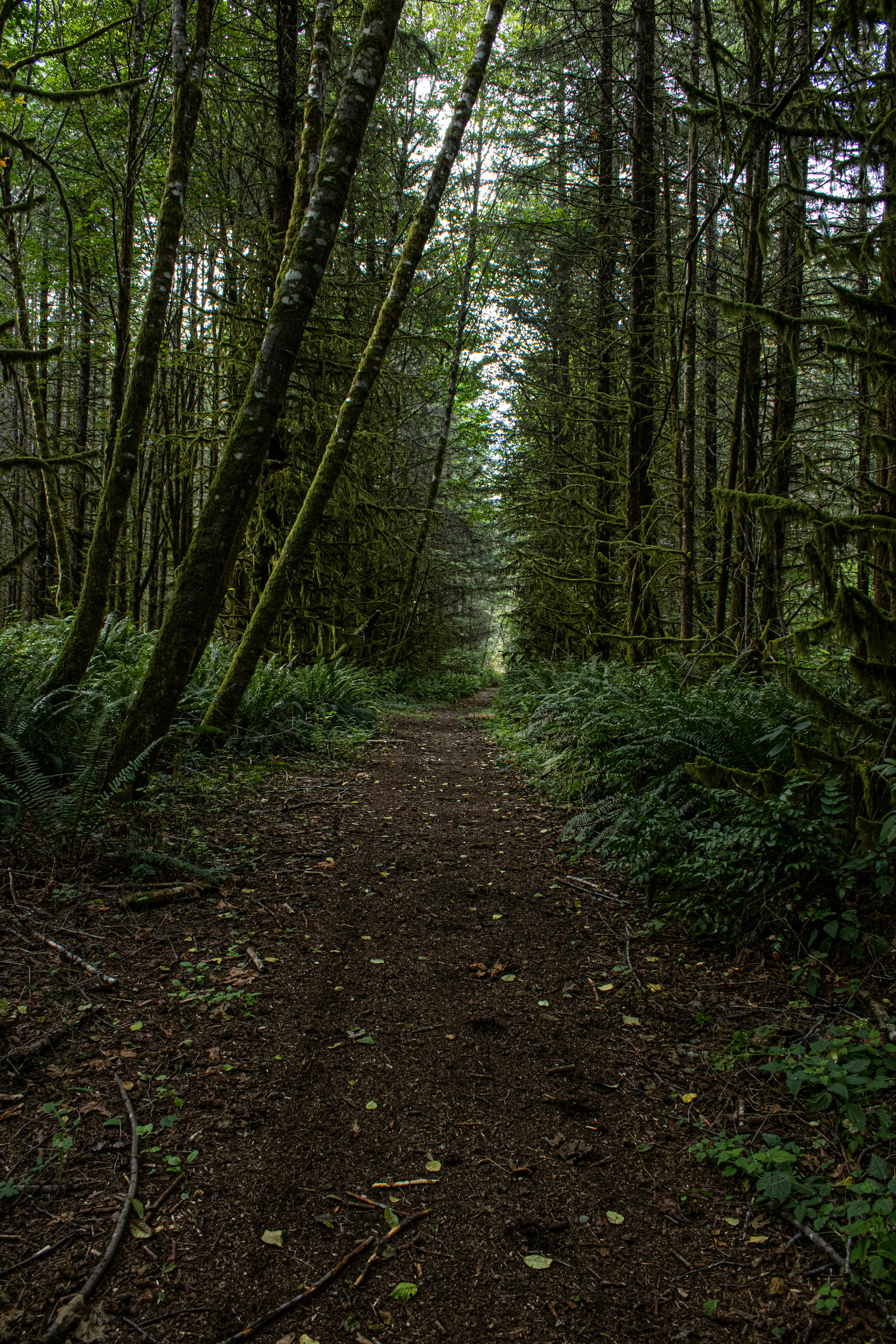 Photo by prphotography262