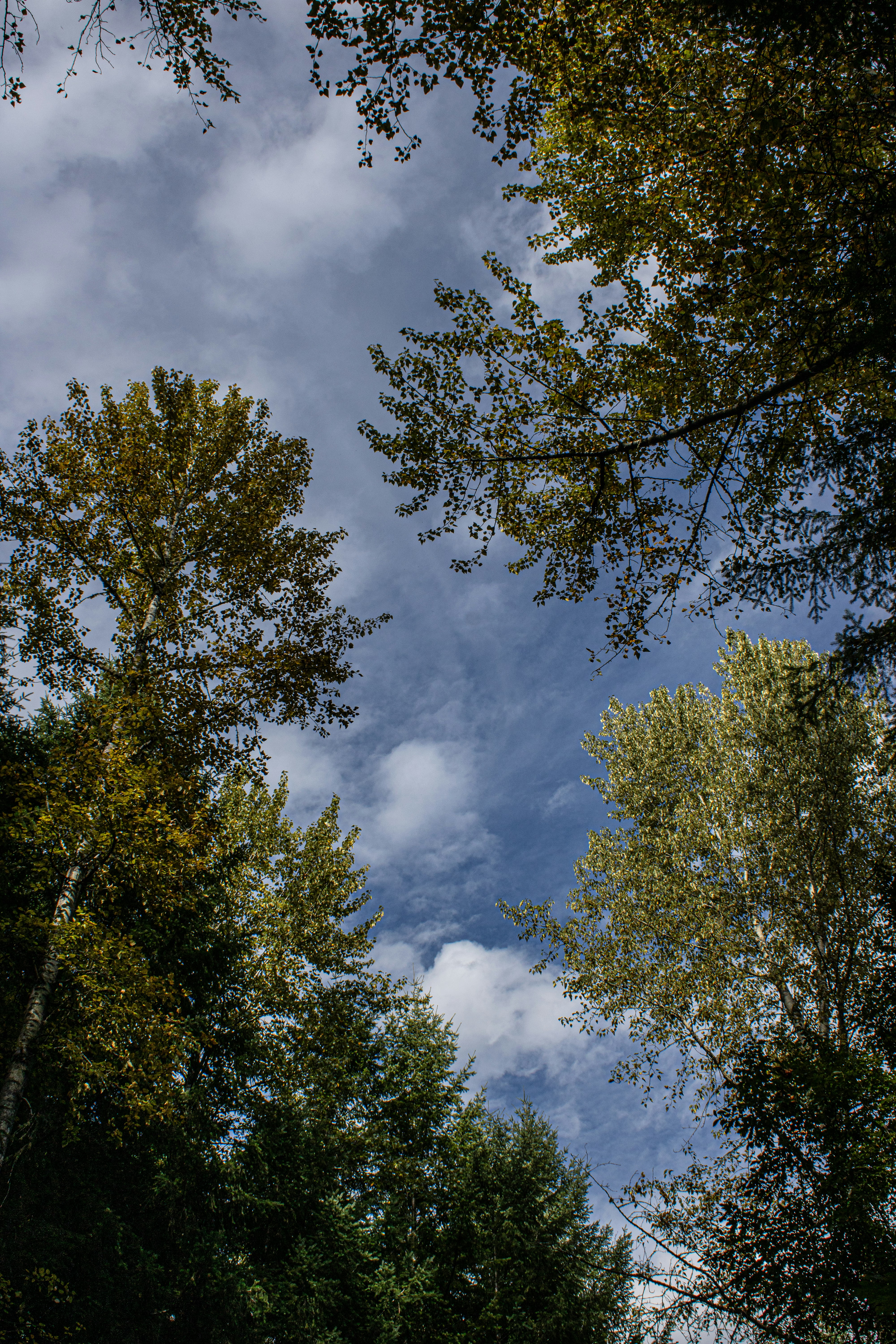 Photo by prphotography262