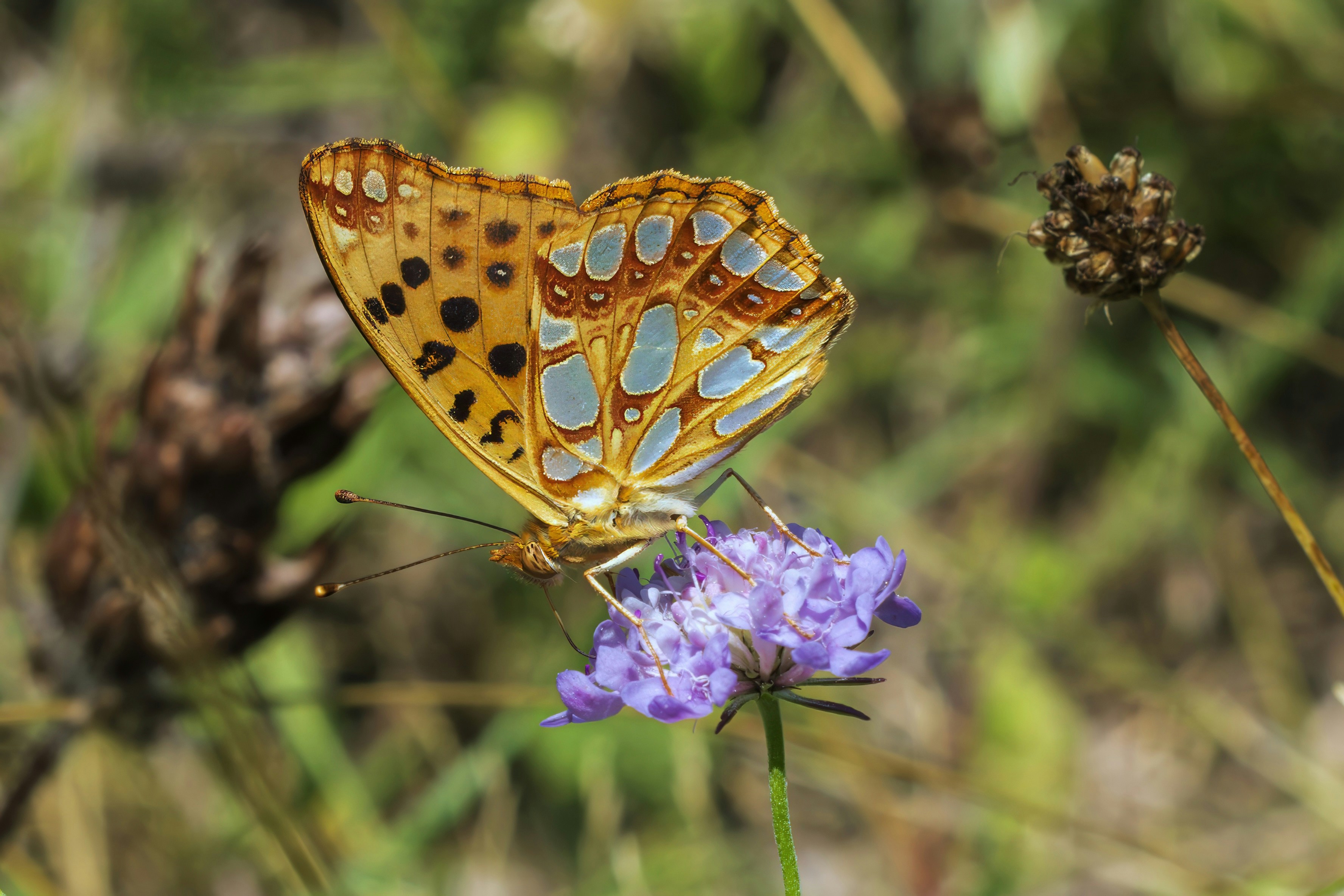 Photo by alfonsogarrido