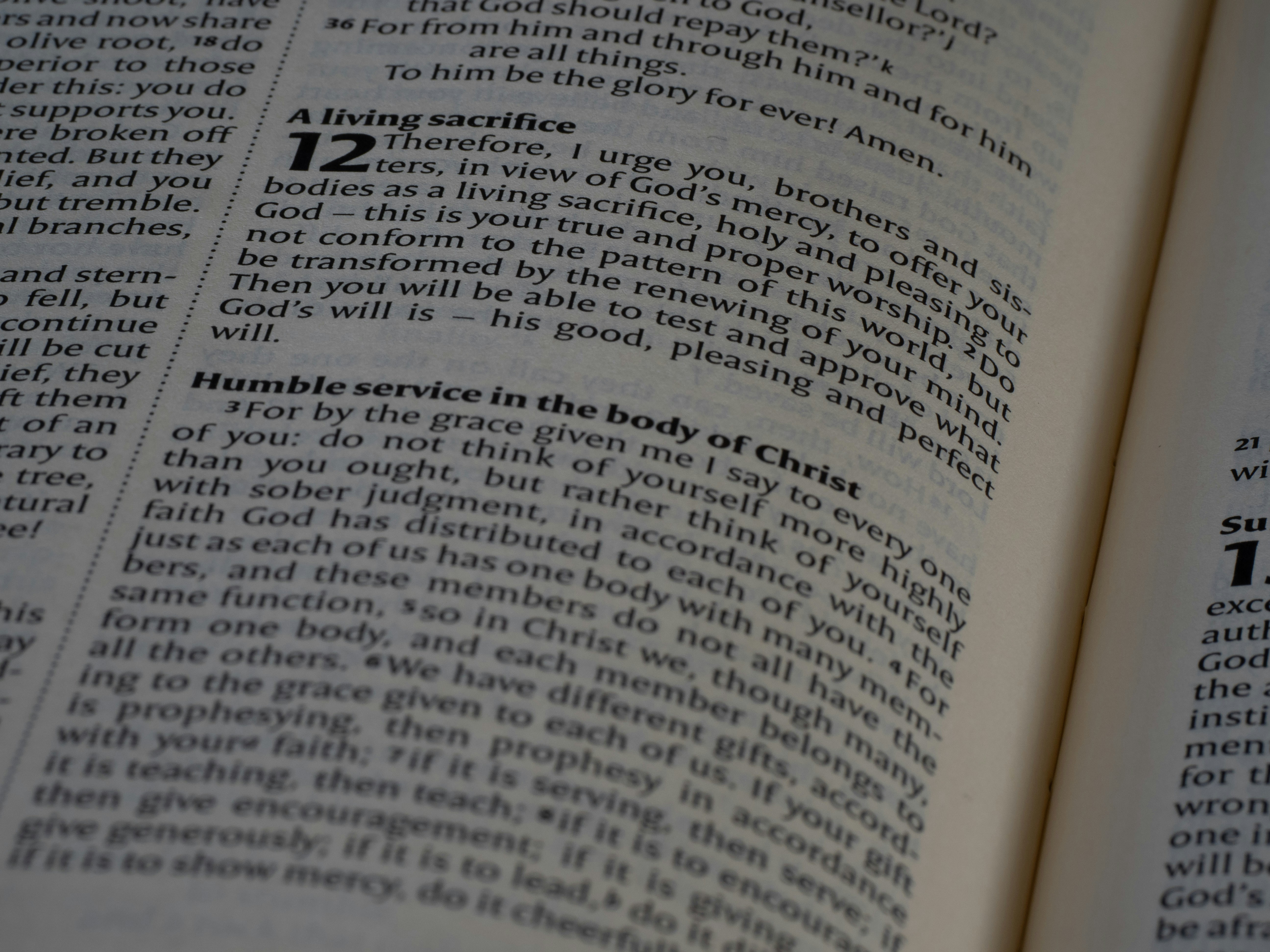 Photo by brett_jordan