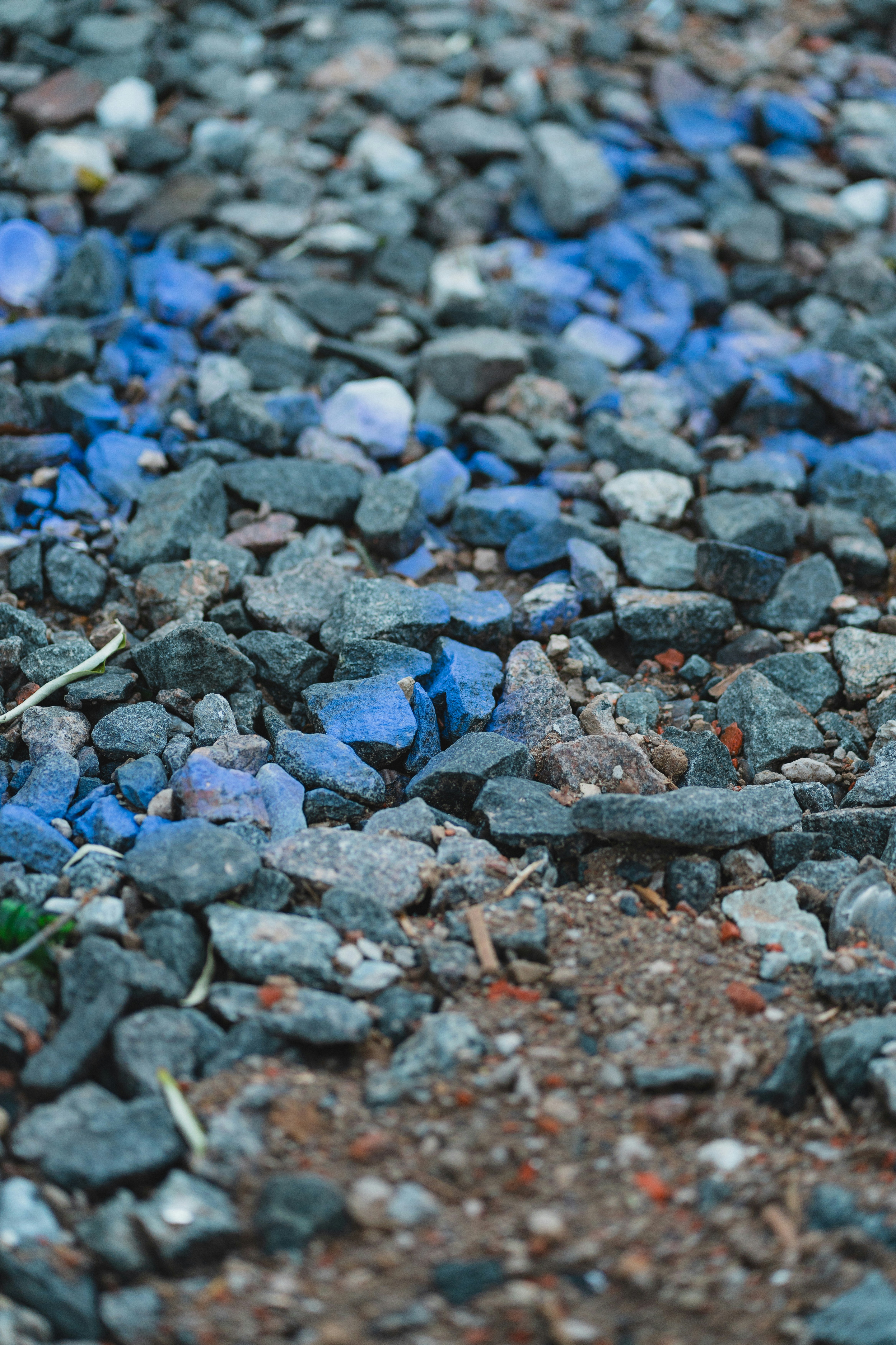 A bird is standing on some rocks and grass