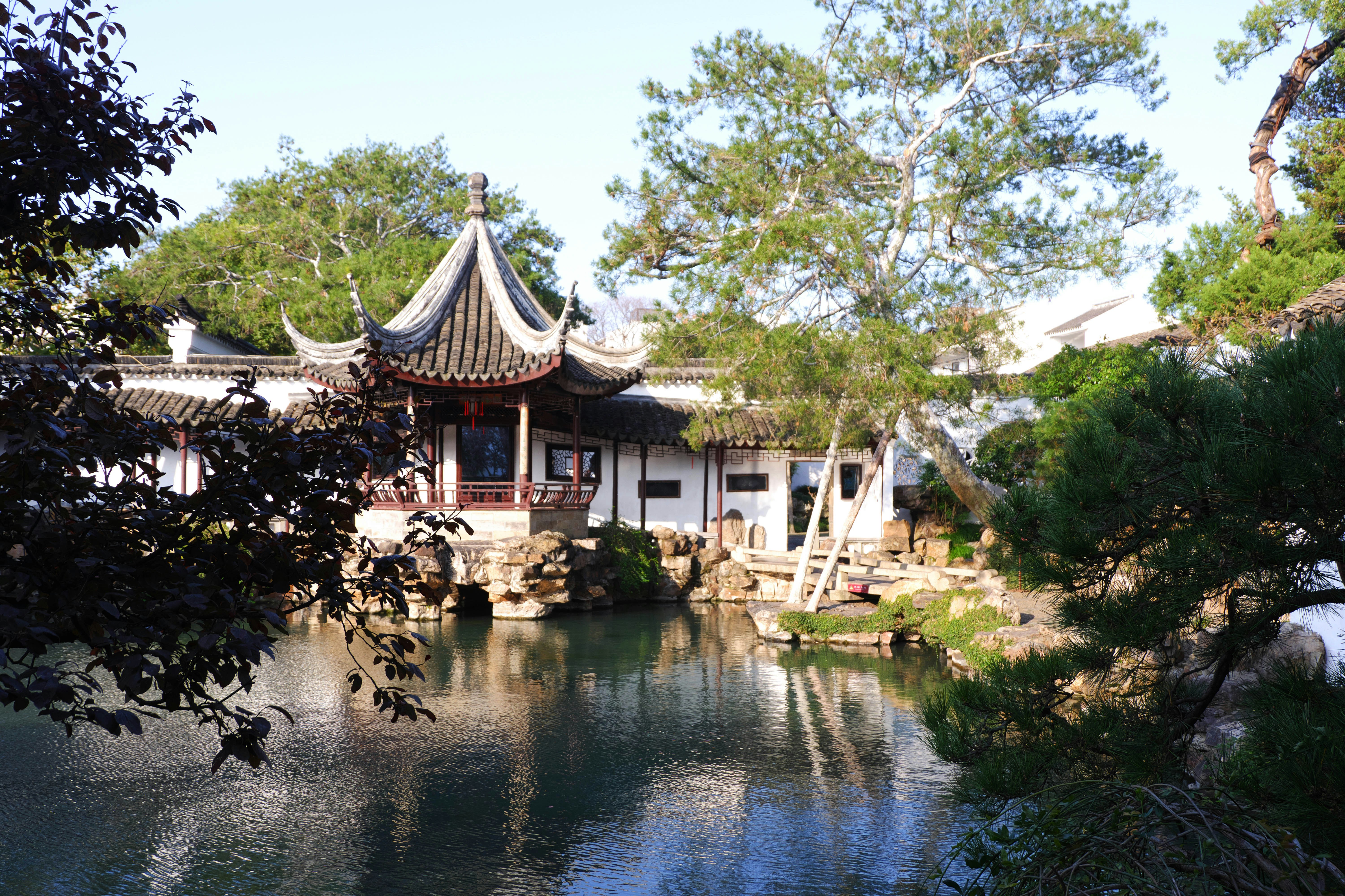 A pond with a building in the background