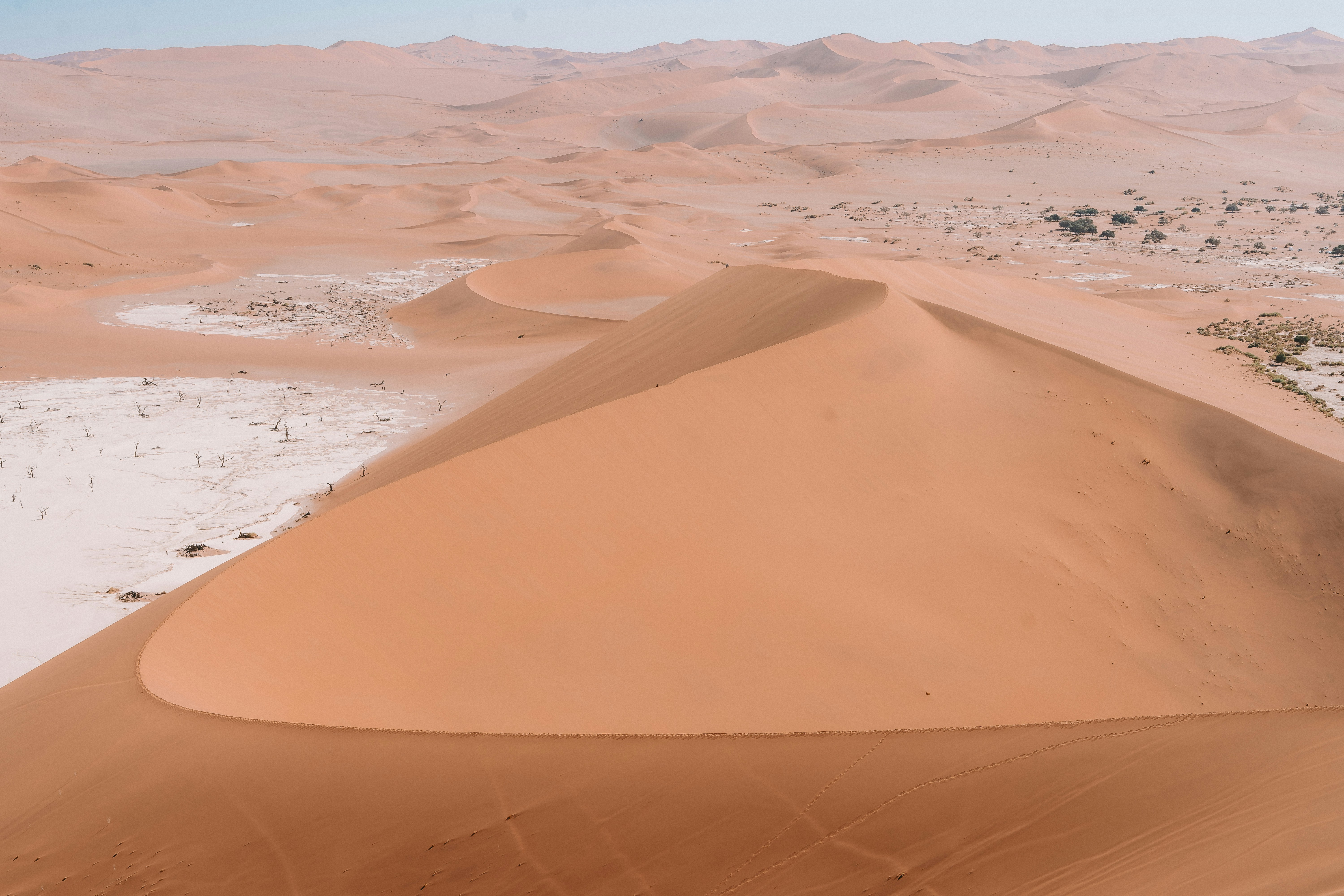 A desert landscape with sand dunes and sparse trees
