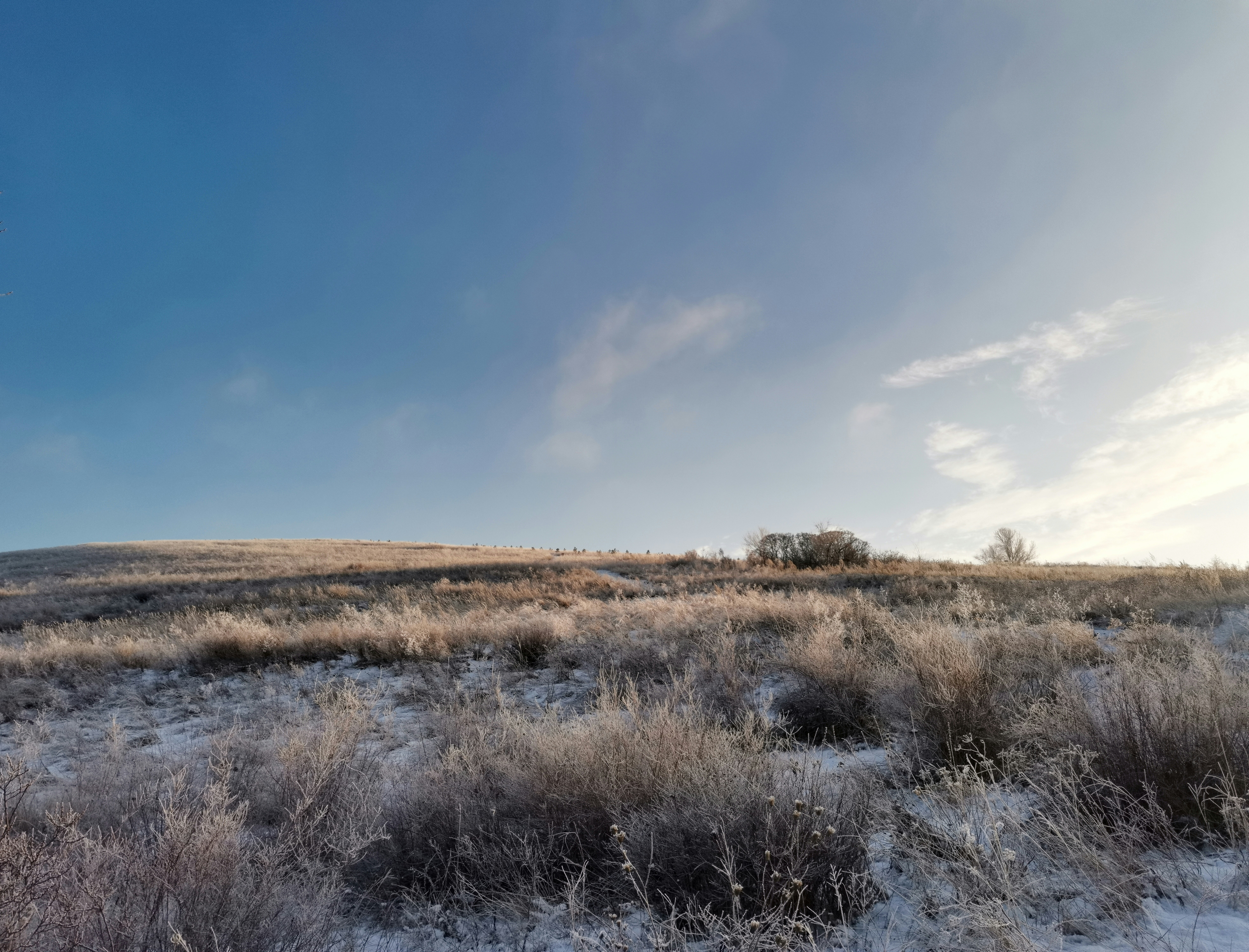 Photo by viktorozolin