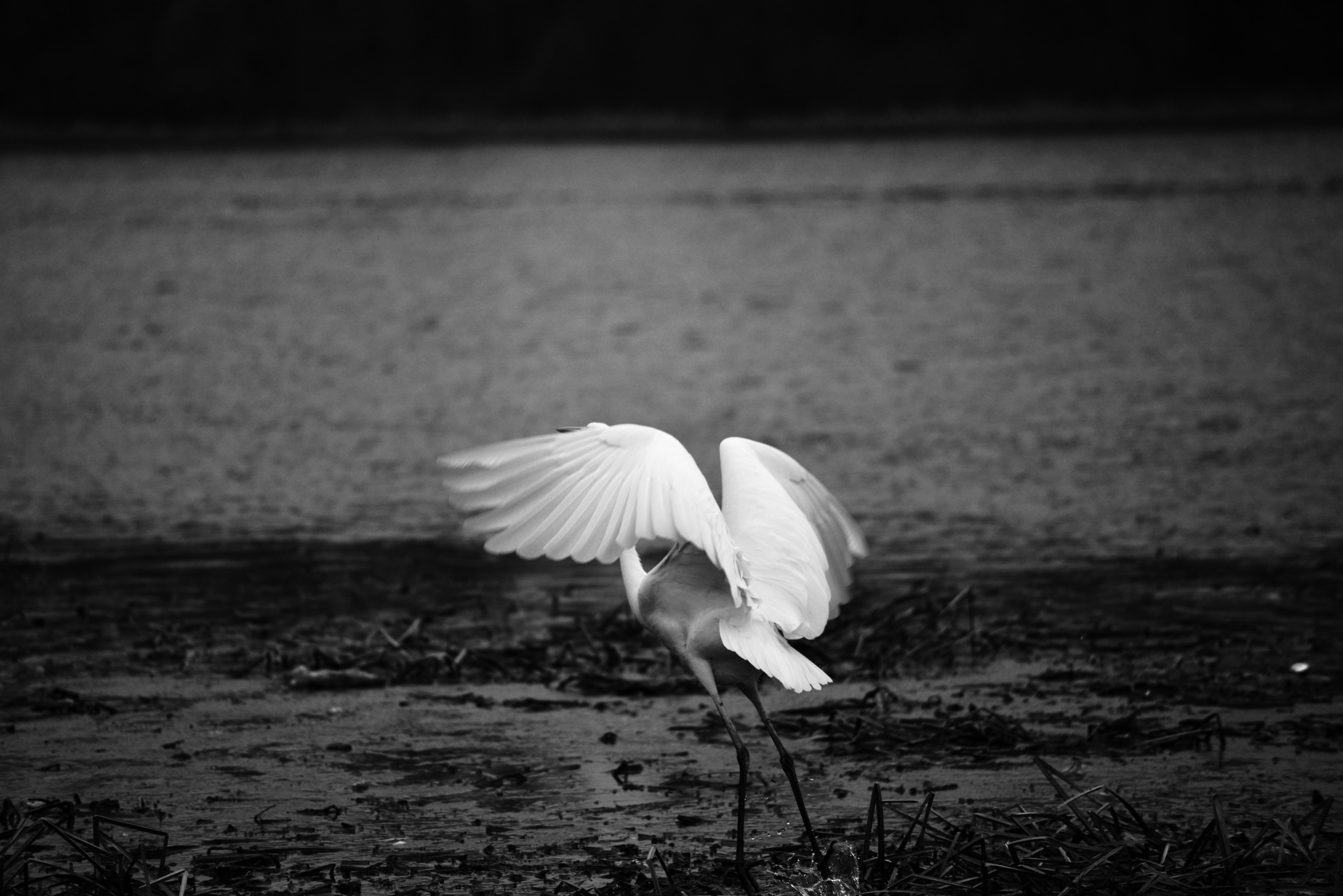 Photo by cherstve_pechivo