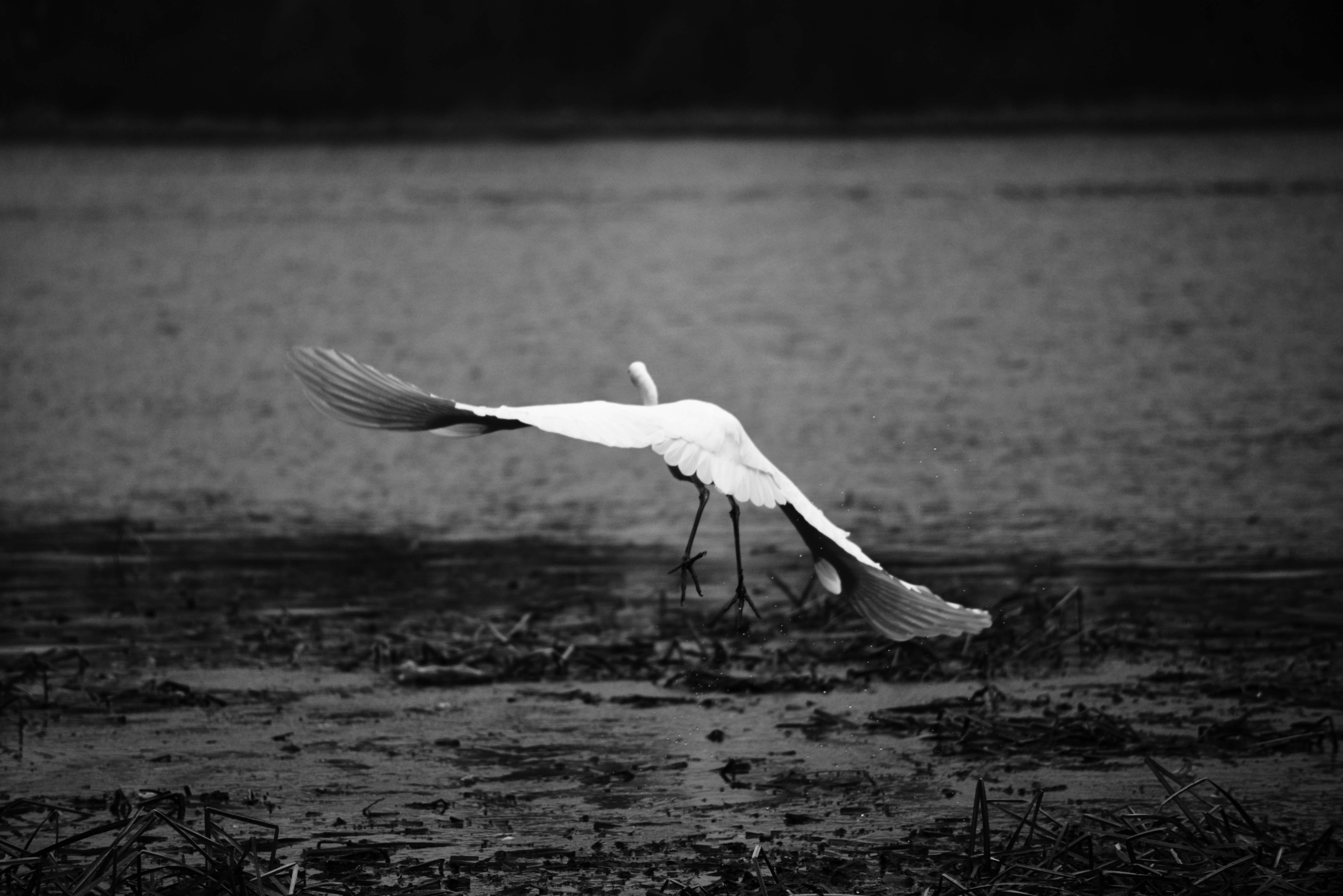 Photo by cherstve_pechivo