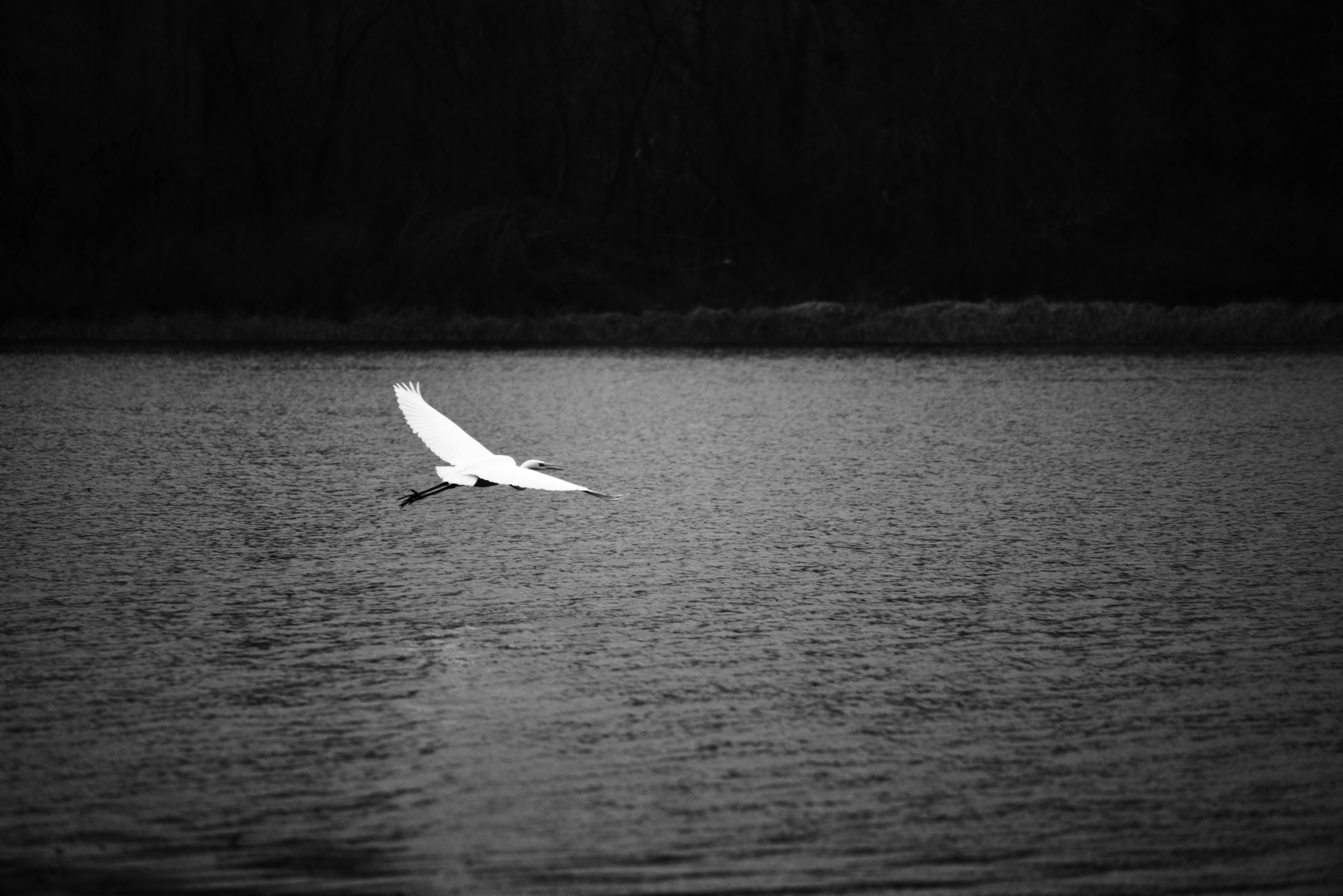 Photo by cherstve_pechivo