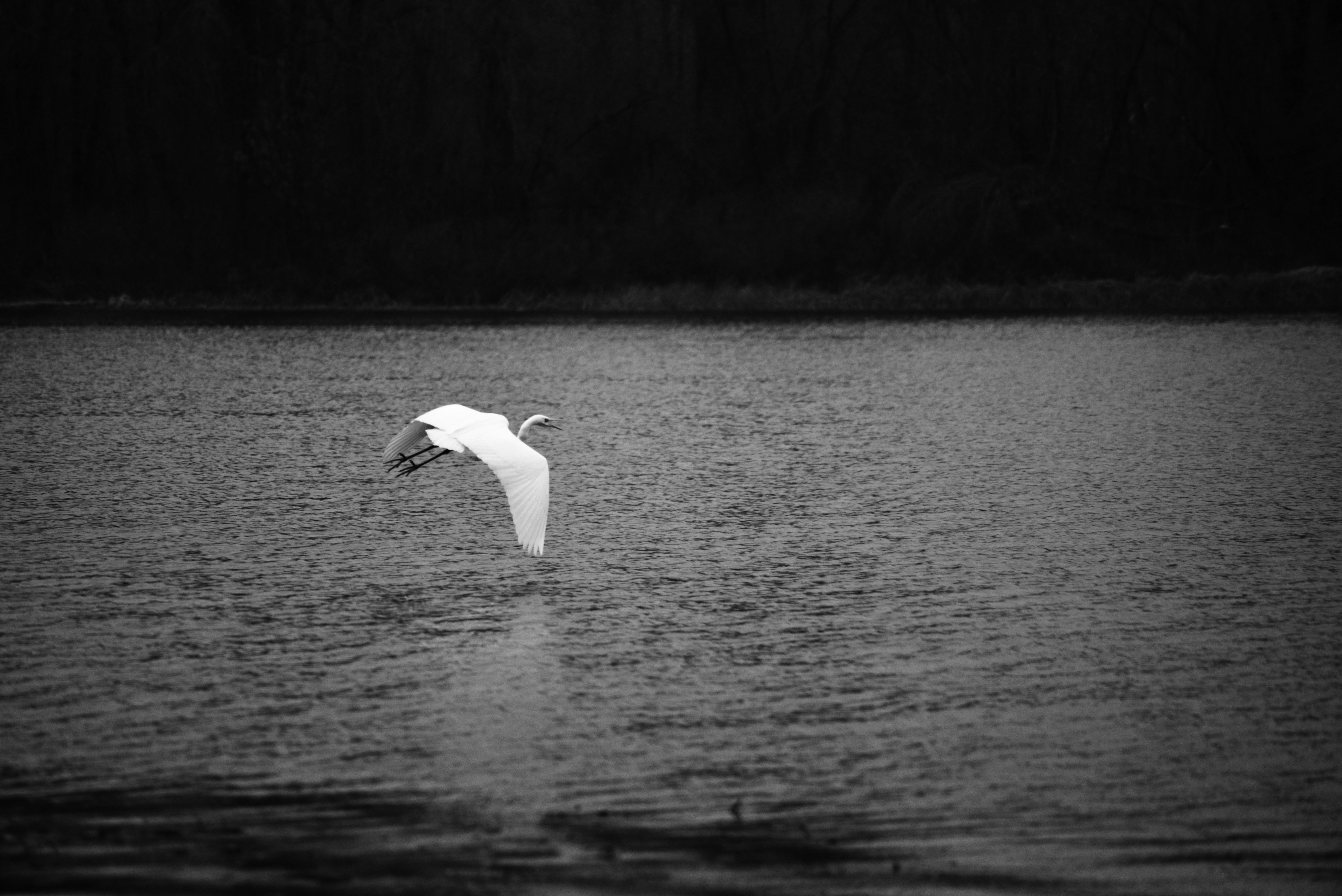 Photo by cherstve_pechivo