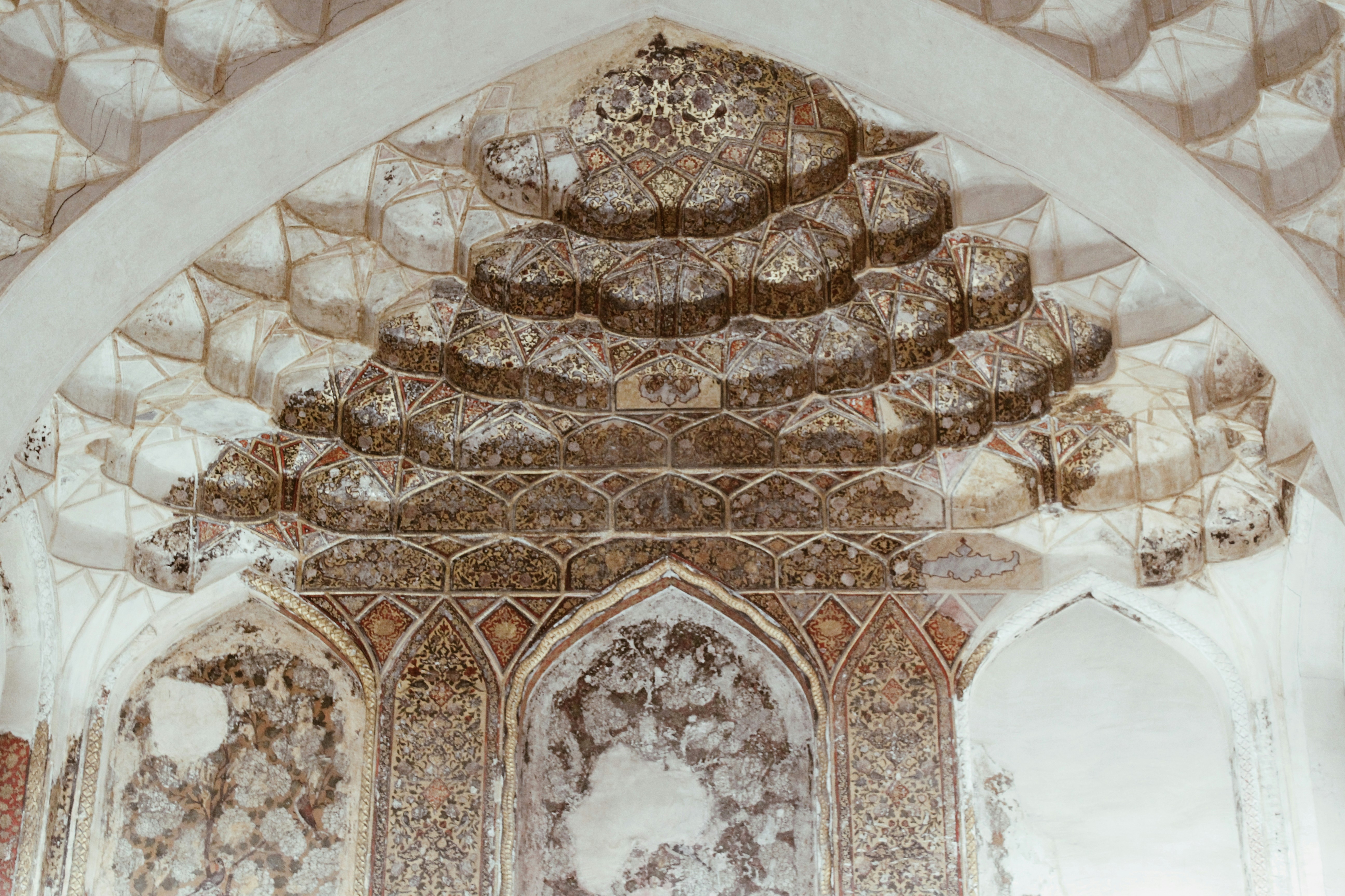 Photo by samirasidhsm