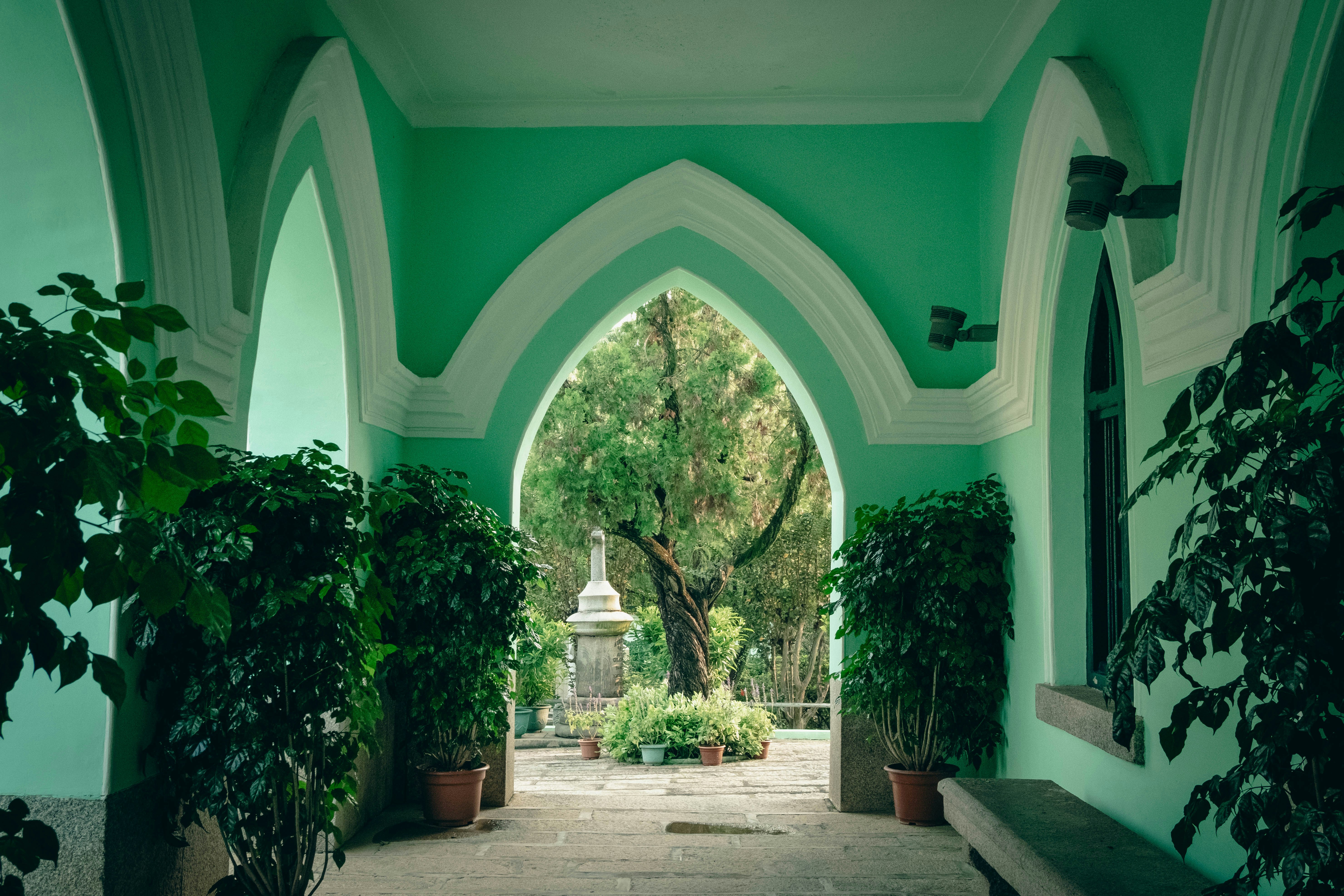 A walkway with potted plants on either side of it, 