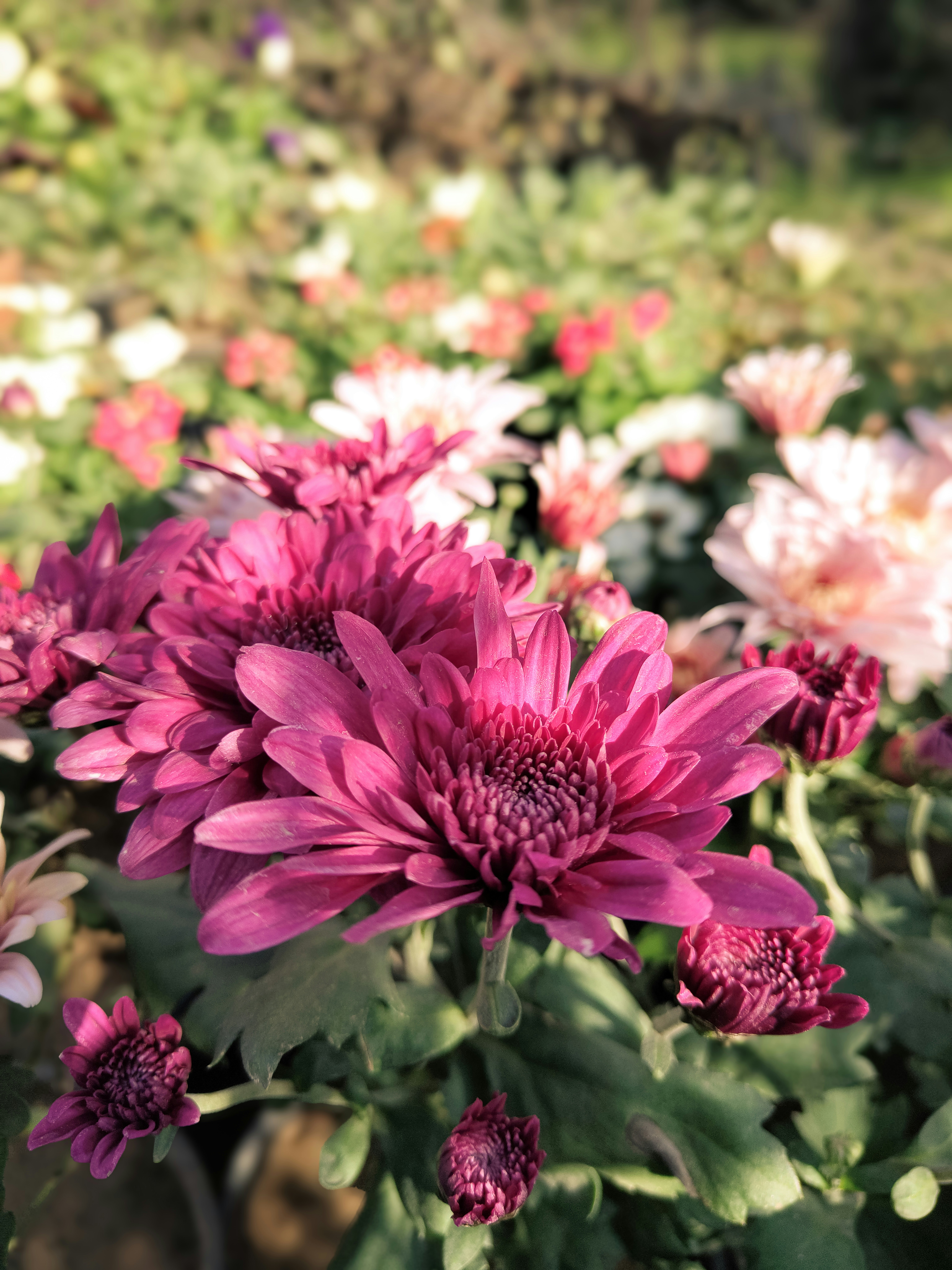 Photo by forever_knight