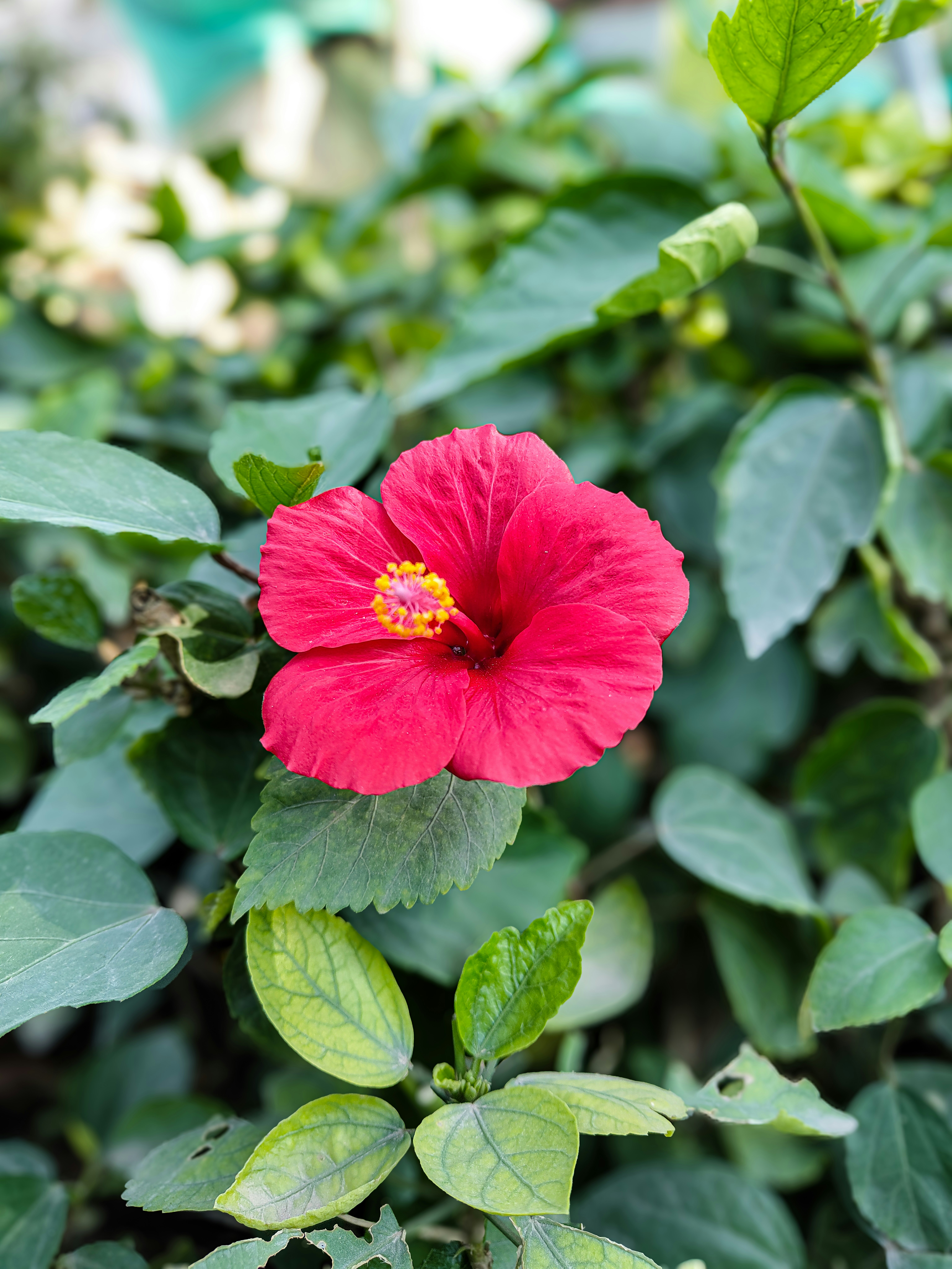 Photo by forever_knight