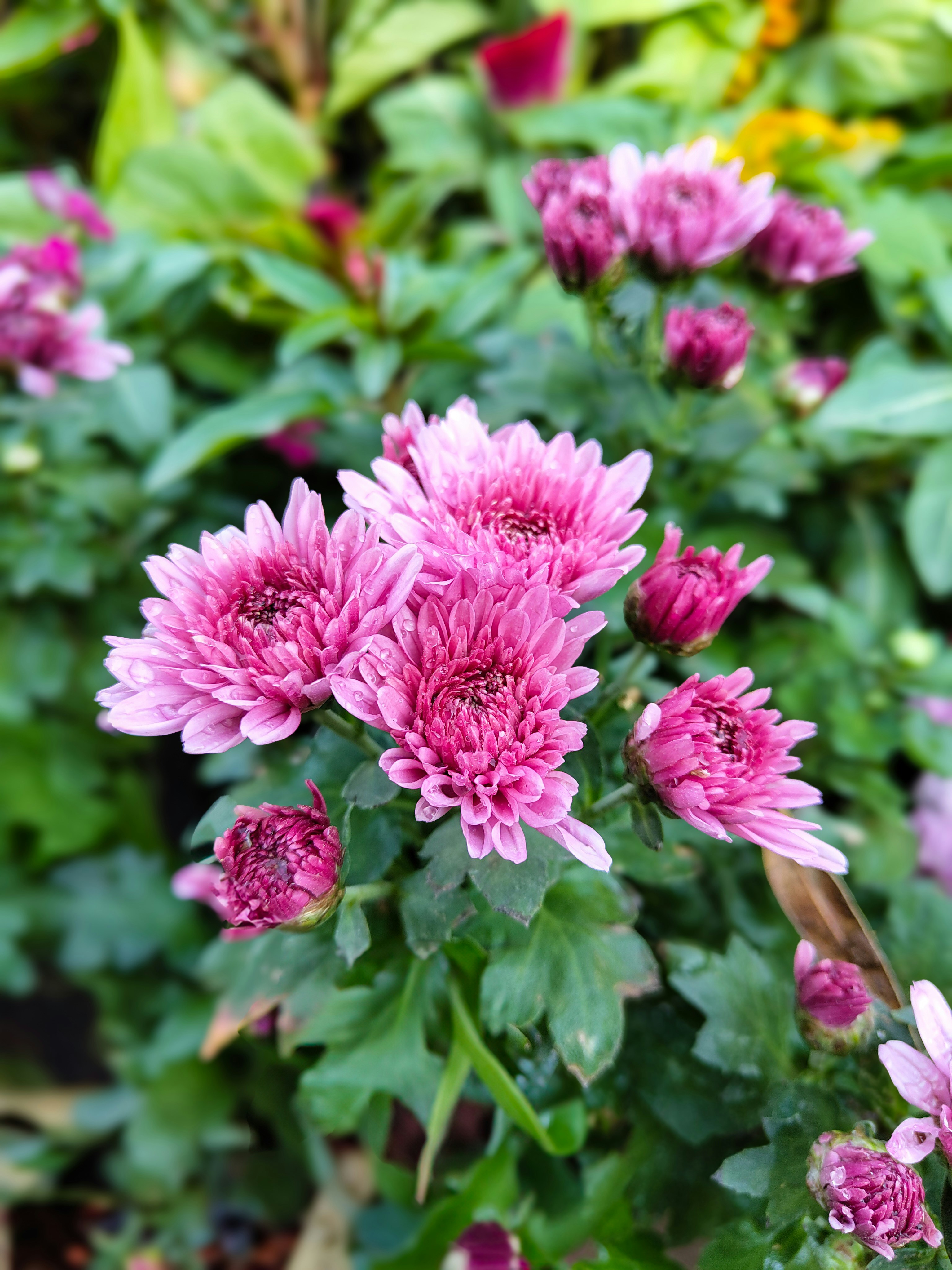 Photo by forever_knight