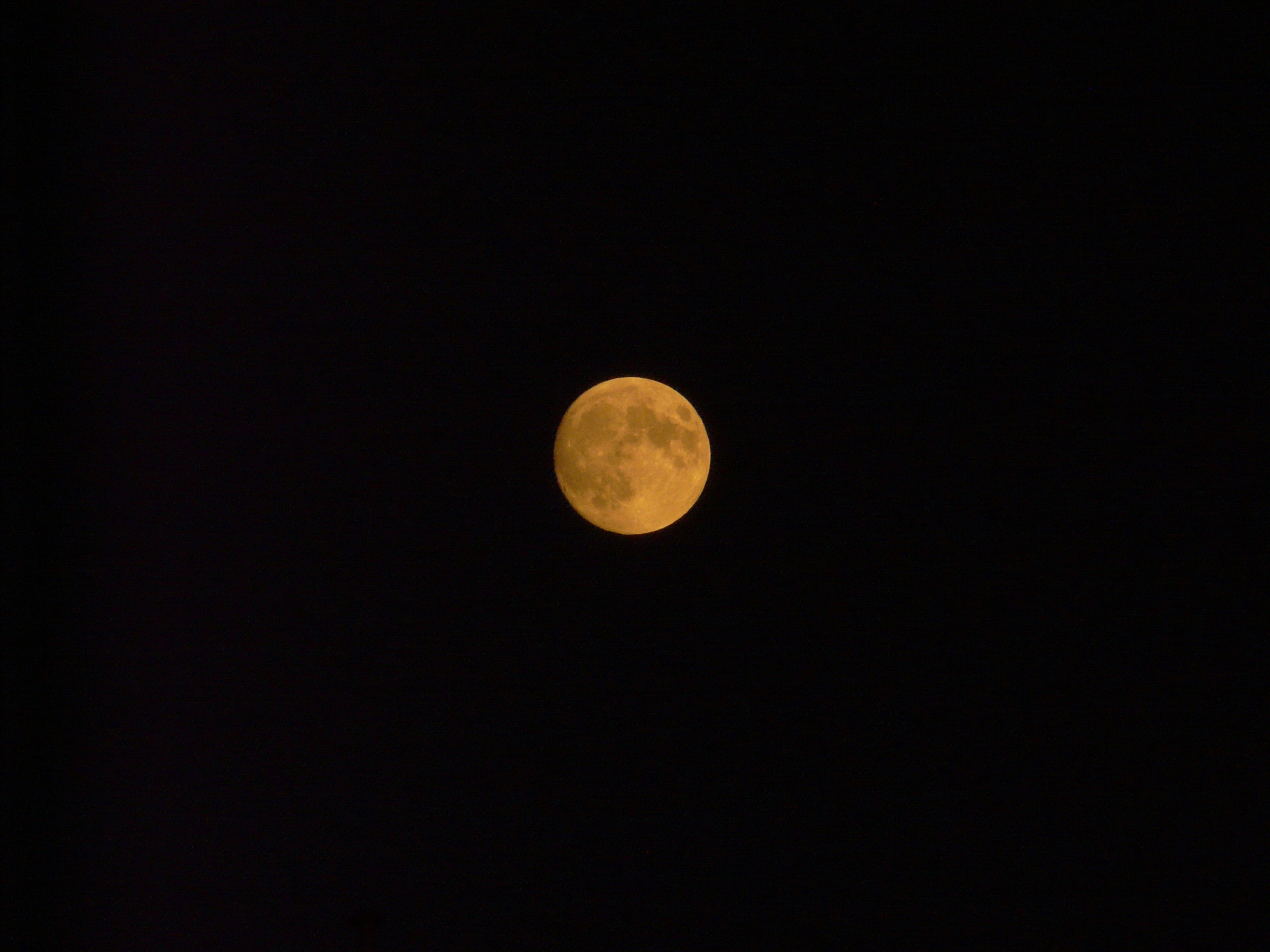 Photo by wolfgang_hasselmann